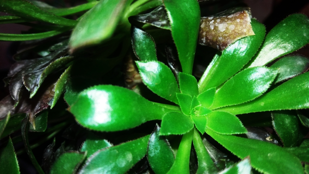 CYMERA_20201120_124621.jpg