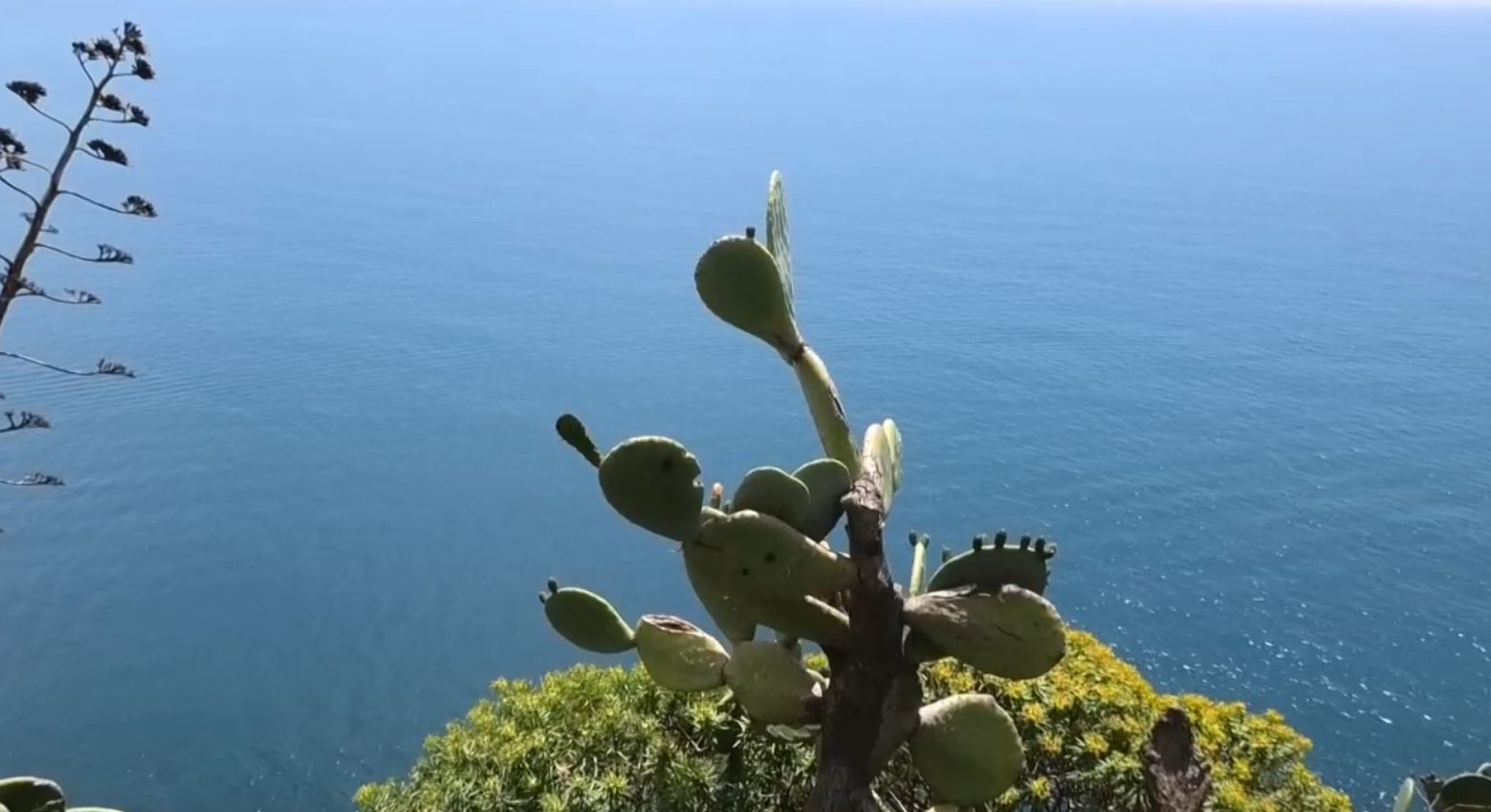 52.-Cinqueterre-Corniglia-8.png