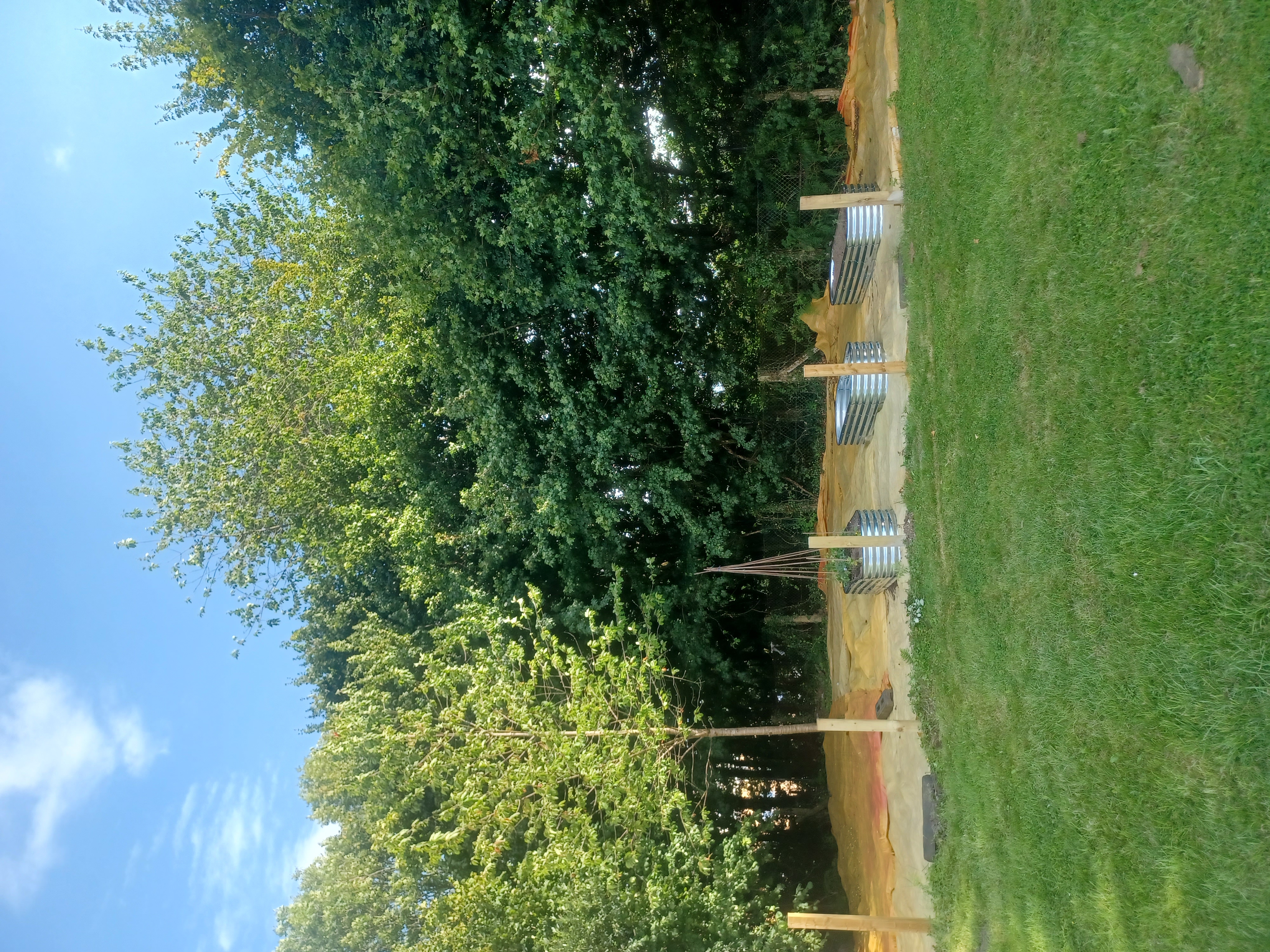 20250728_170426.jpg
