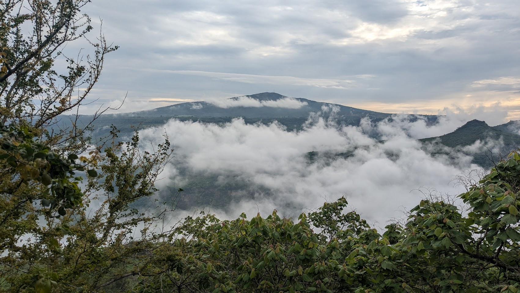 Reforestation of The Oblatos Canyon, Guadalajara, Mexico