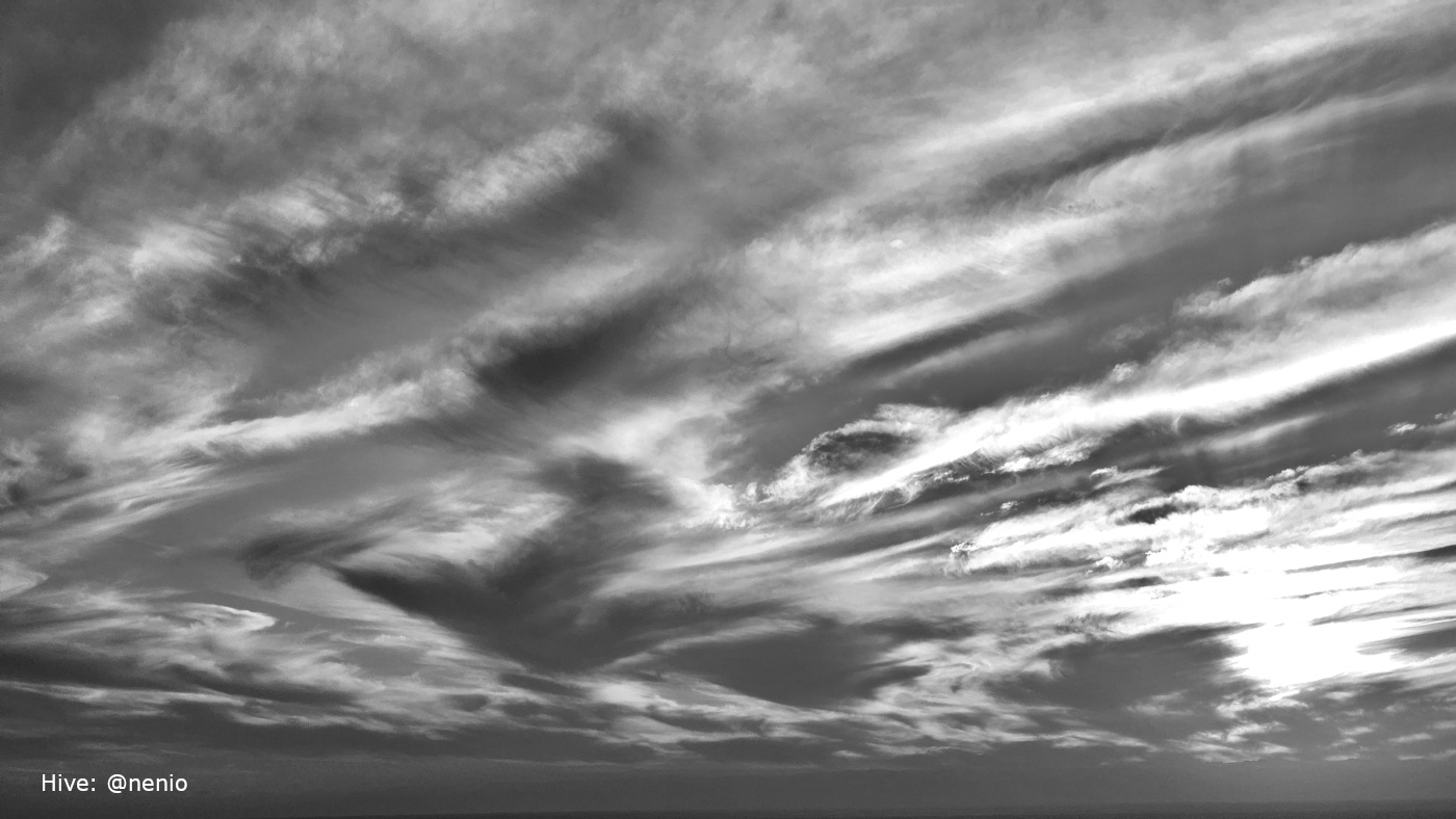 organized-chaos-001-bw.jpg