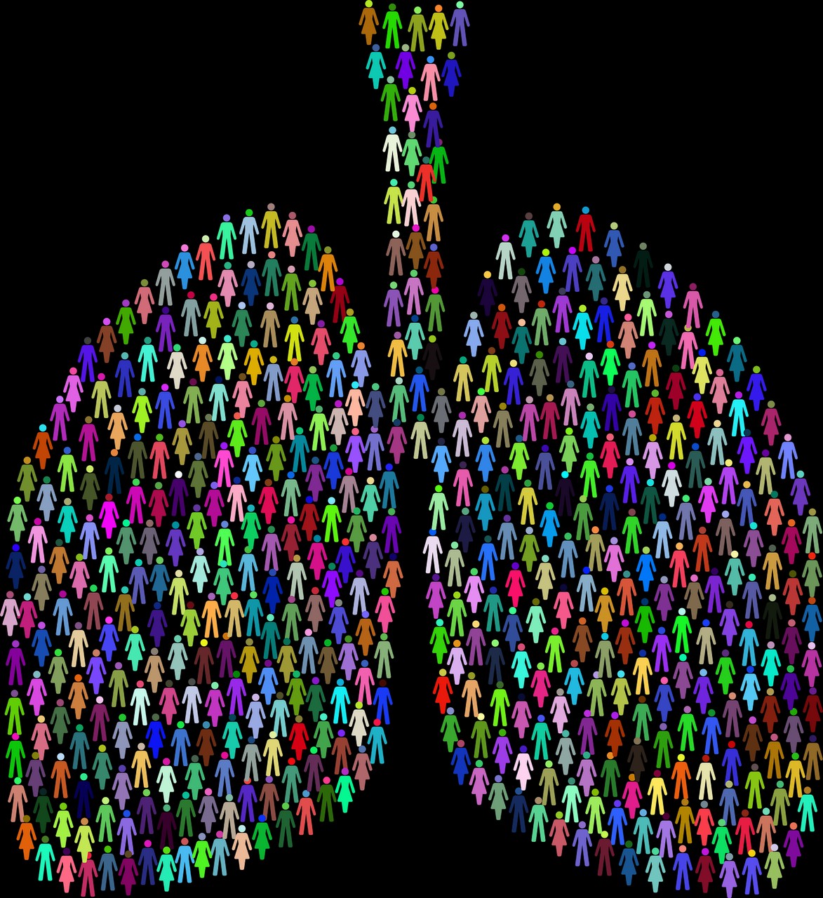 lungs-7110129_1280.jpg