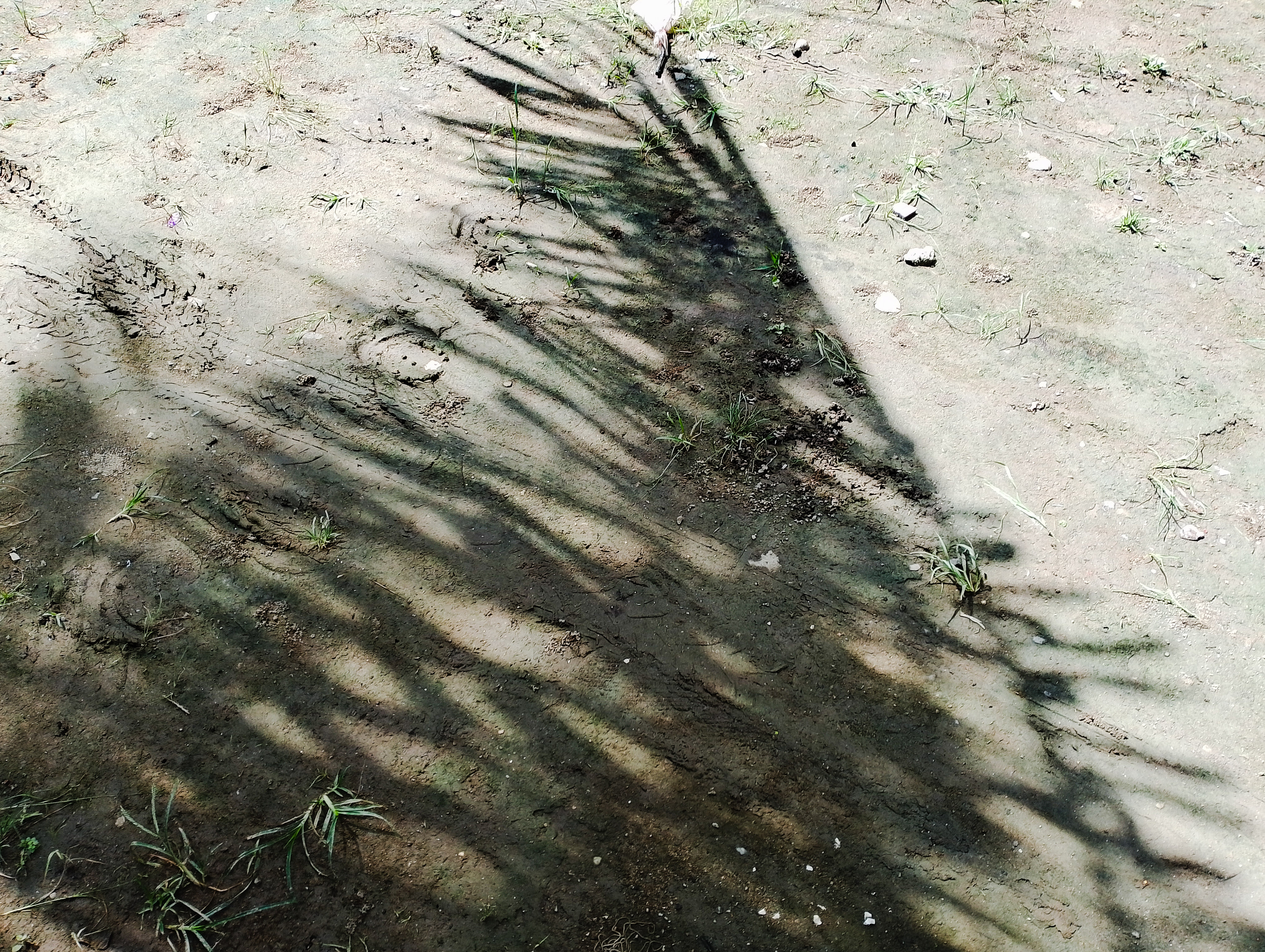 PSX_20231127_132051.jpg