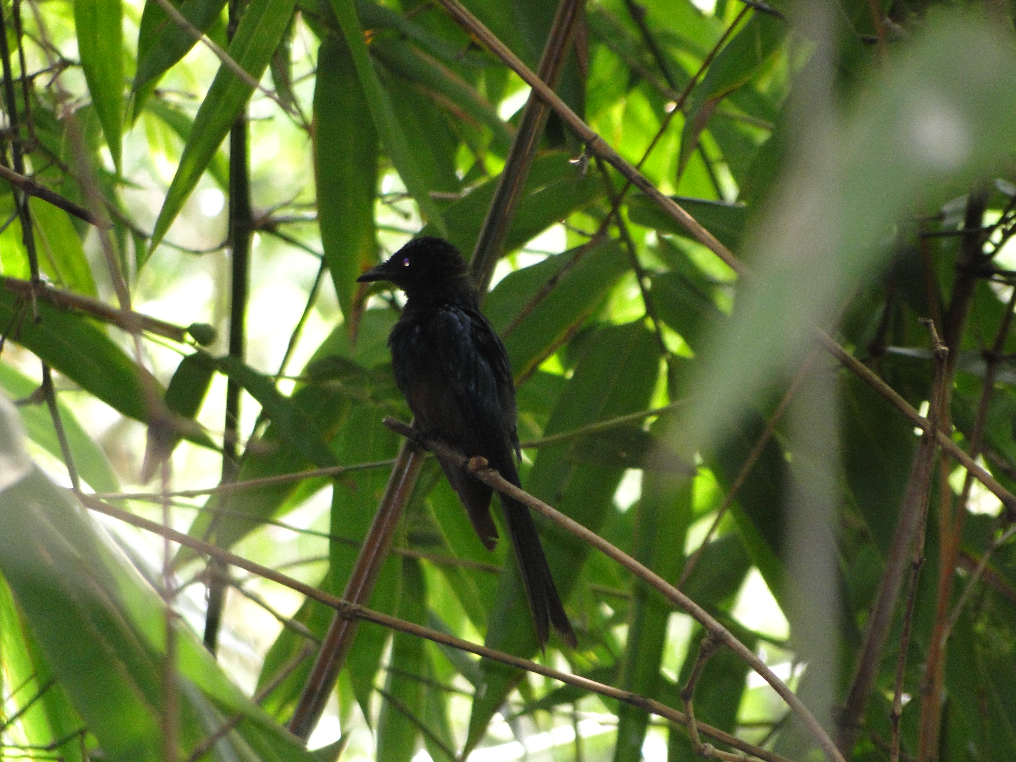 DSC06612.JPG
