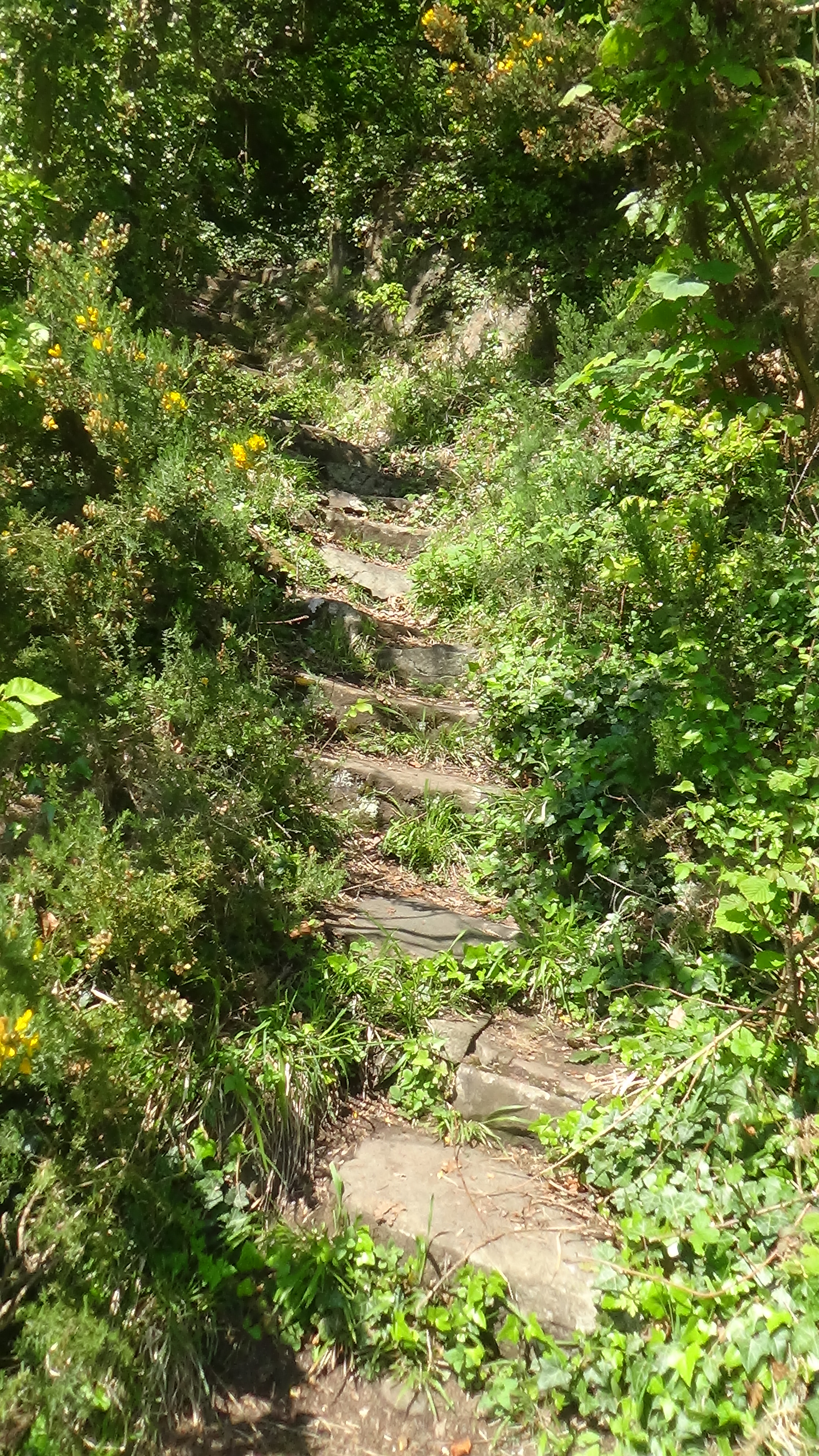 DSC02098.JPG