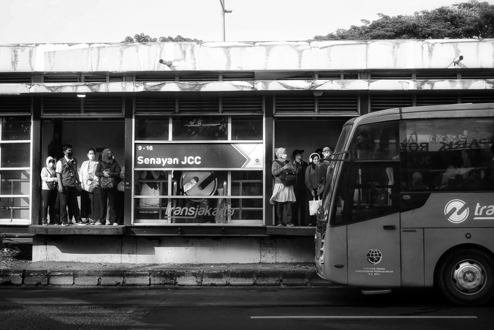 DSC02727-02-01.jpeg