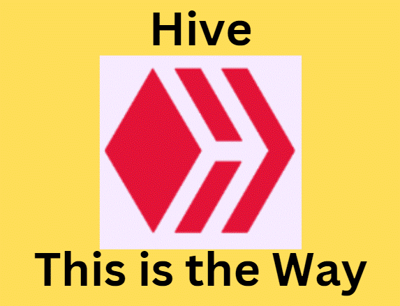 Hivethisistheway20221231 093229.gif