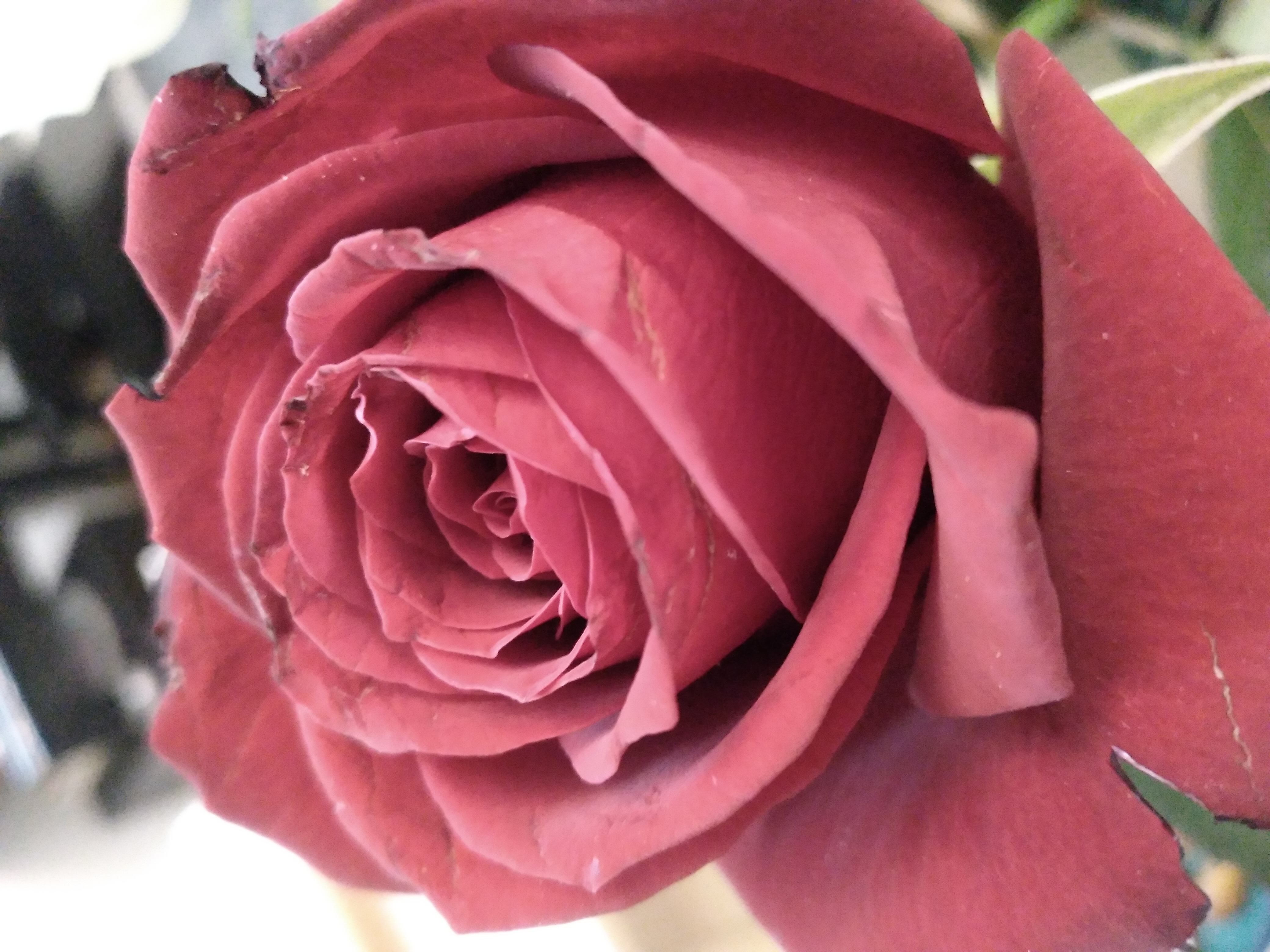 20230501_222811.jpg