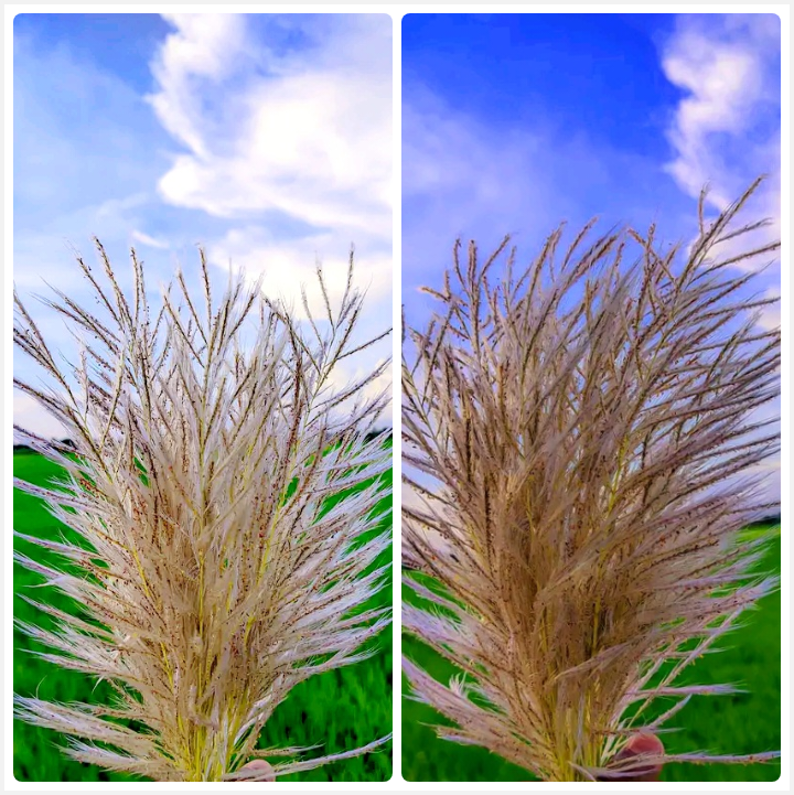 1728032810772.png