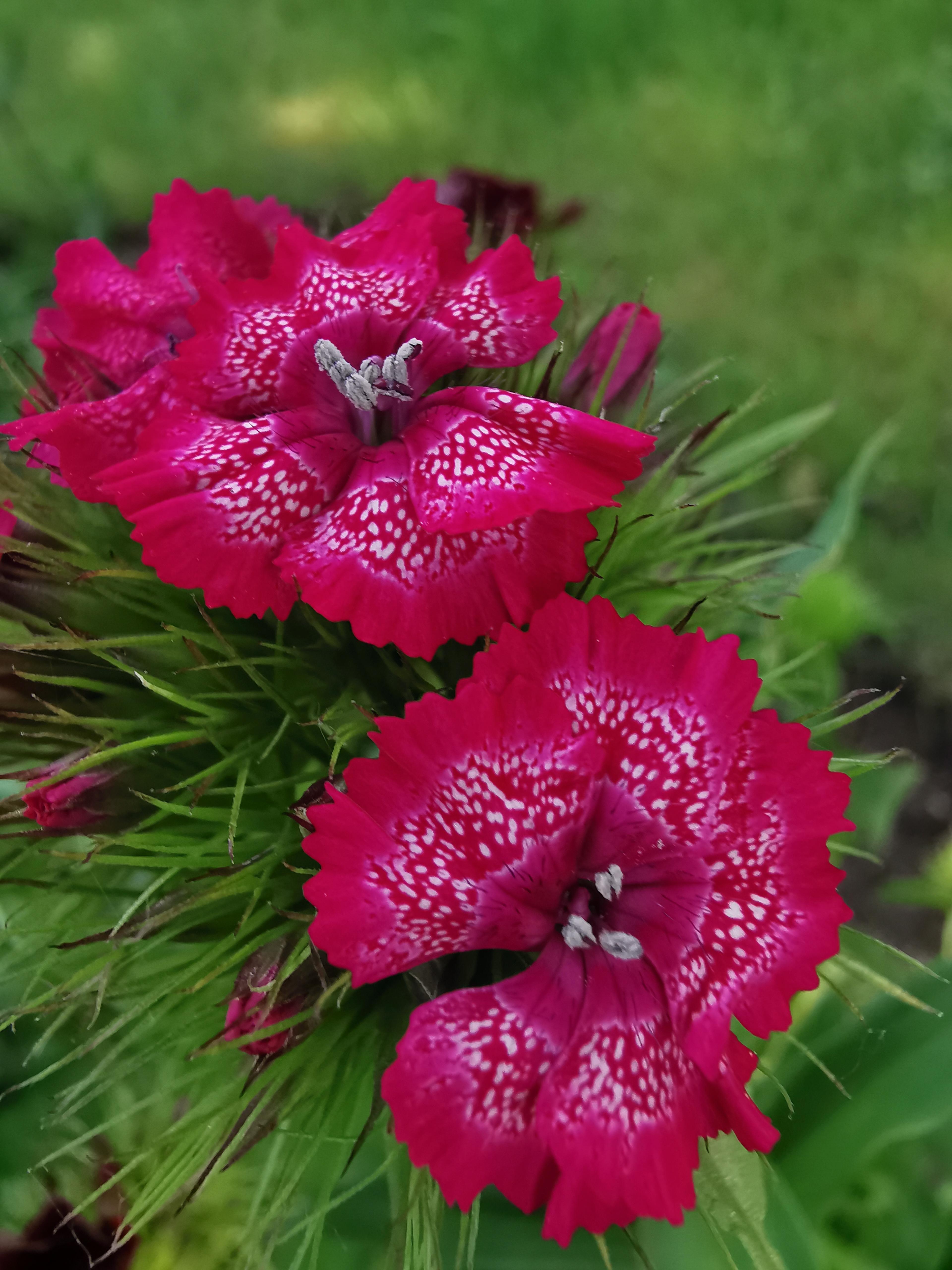 IMG_20190618_151257.jpg