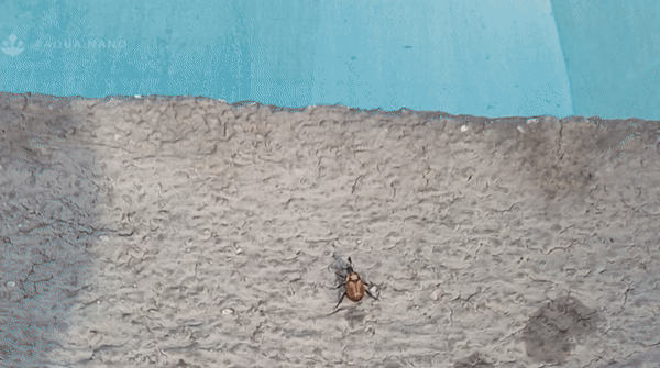 1000103987.gif
