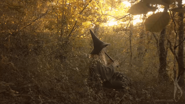 a gentle calling by Priscilla Hernandez yidneth (6).gif