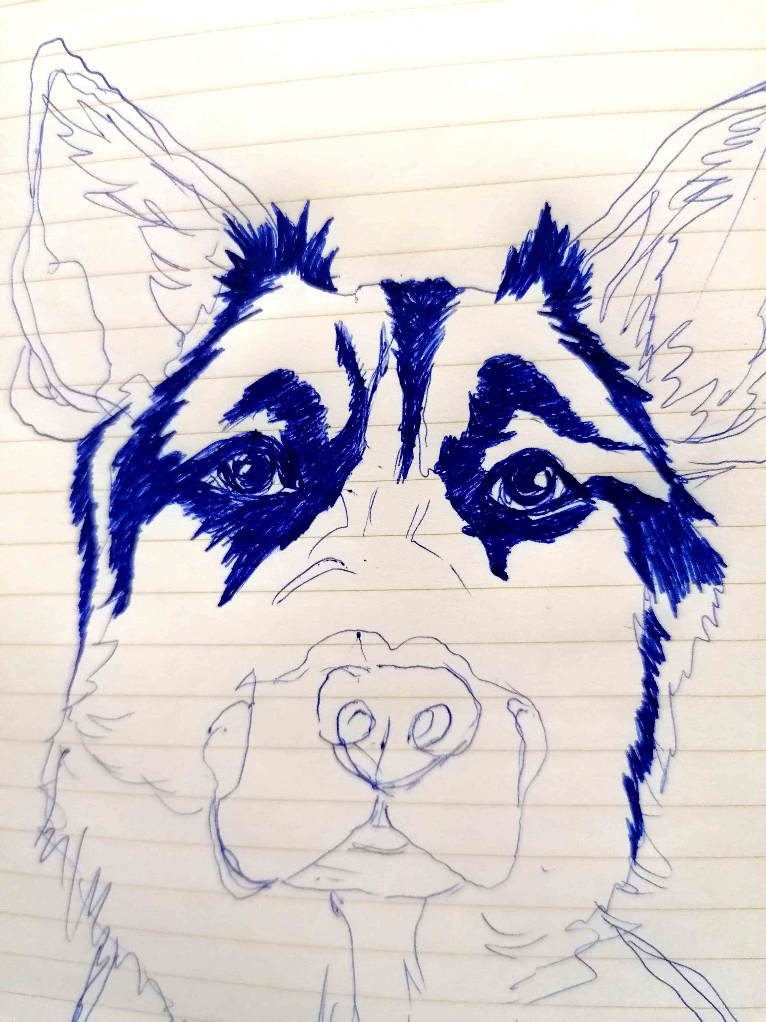 7653556604.jpg