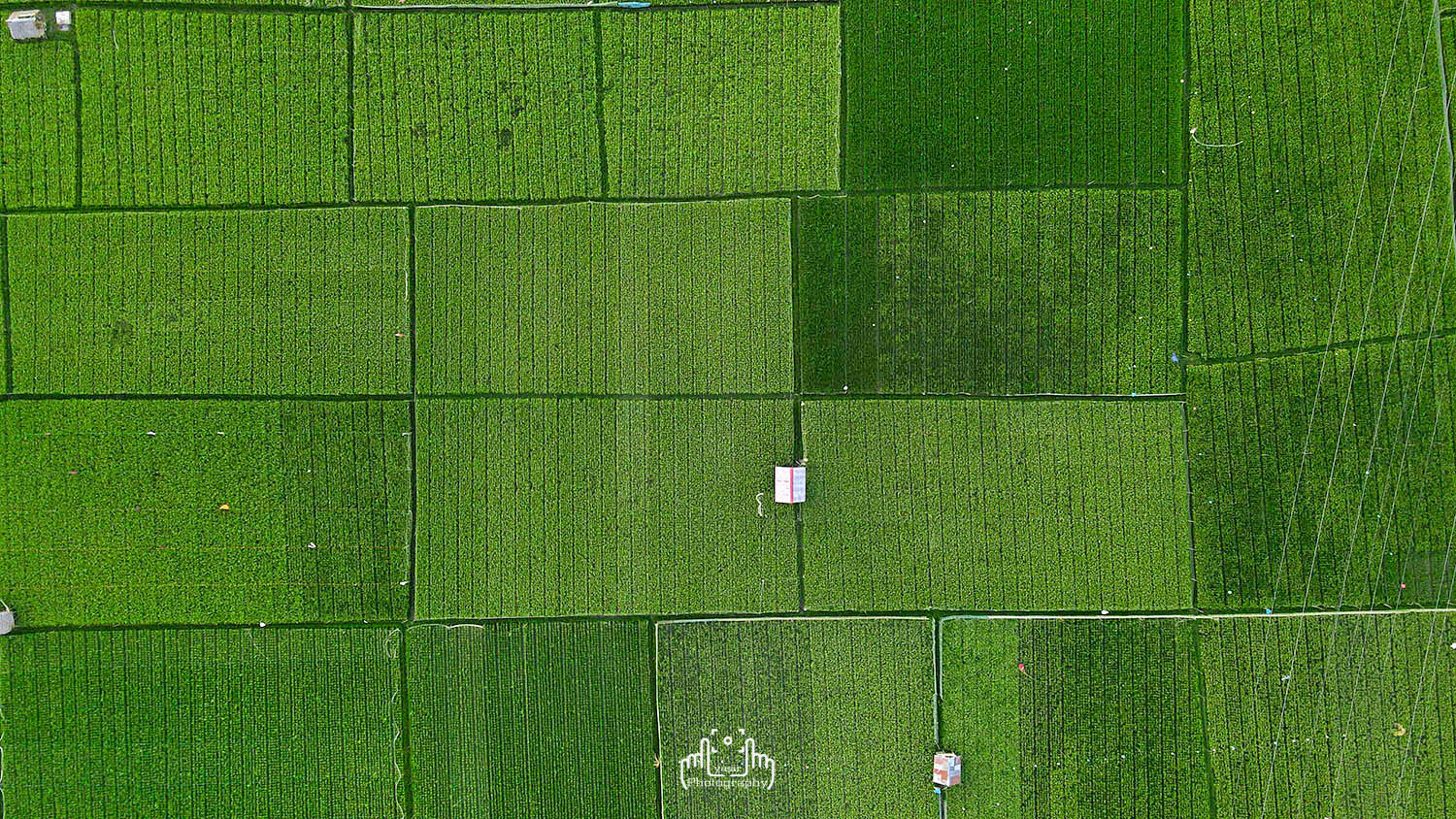 DJI_0325.JPG