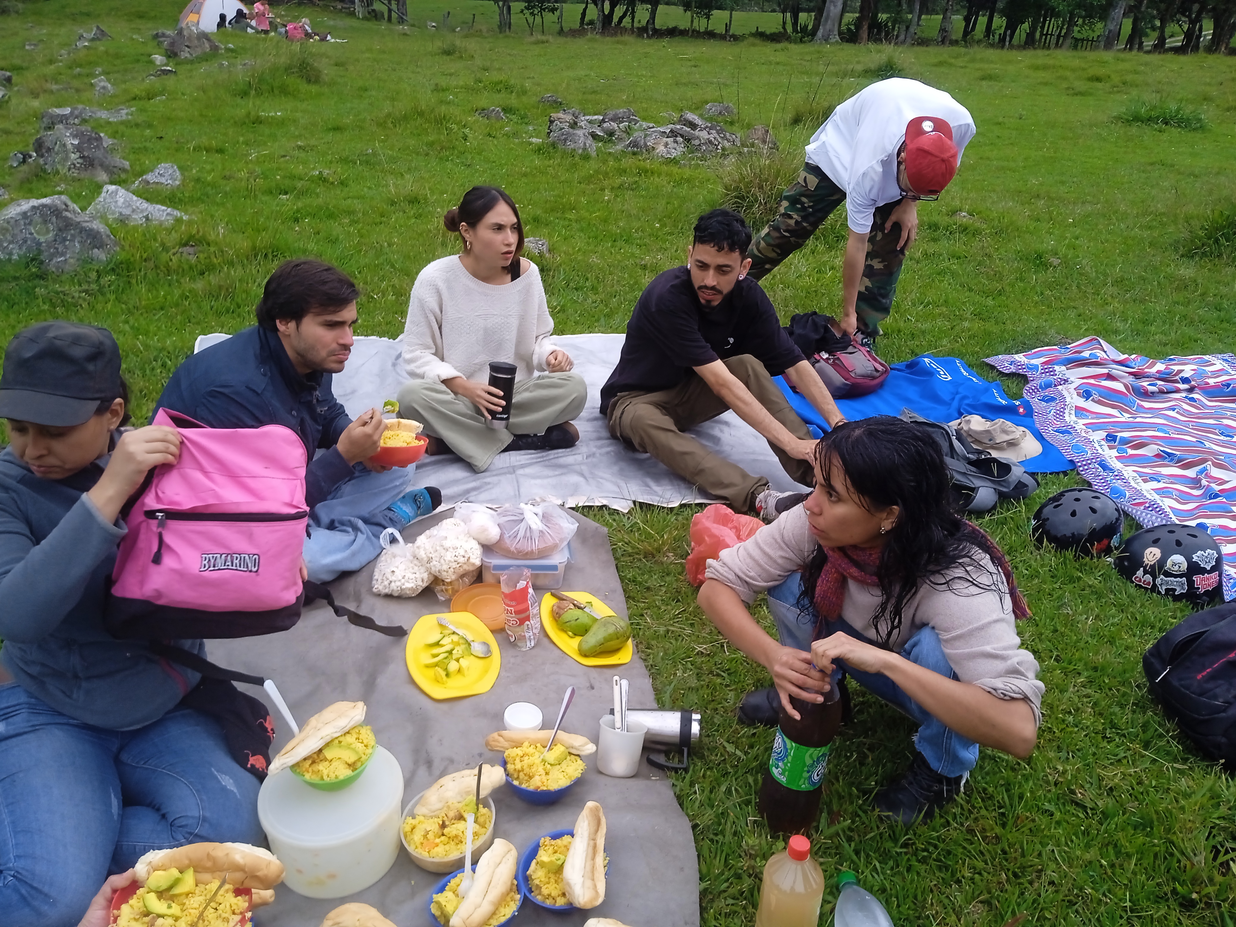 IMG_20250615_154409_1.jpg