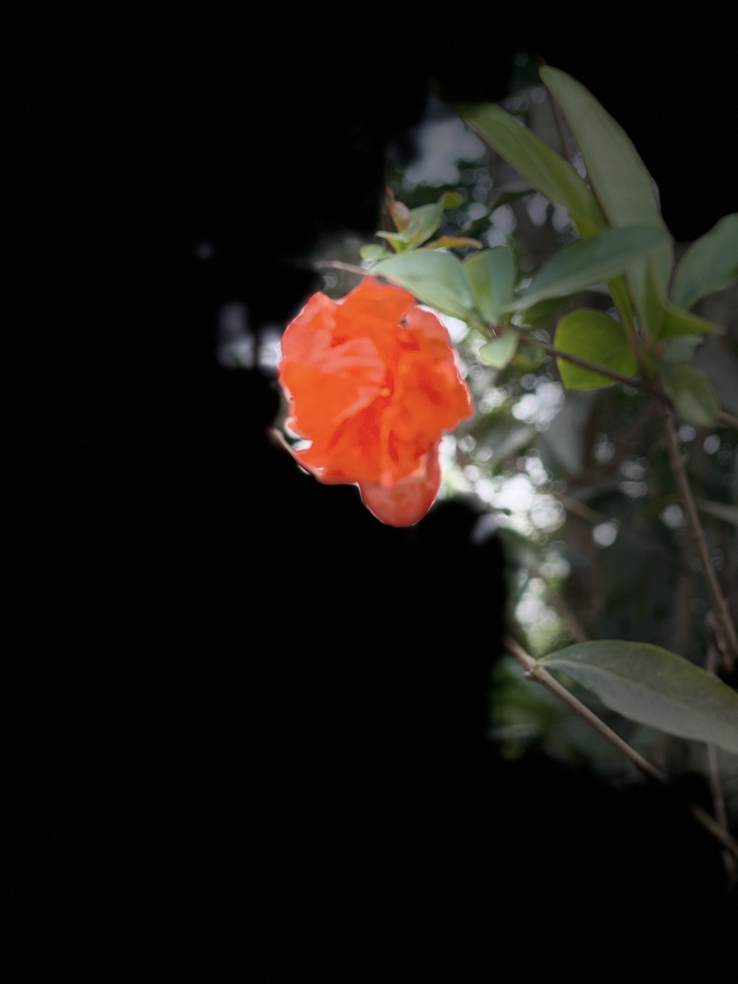 D74BA1A9-7A1B-4247-923B-A5DAA10EA91A.jpeg