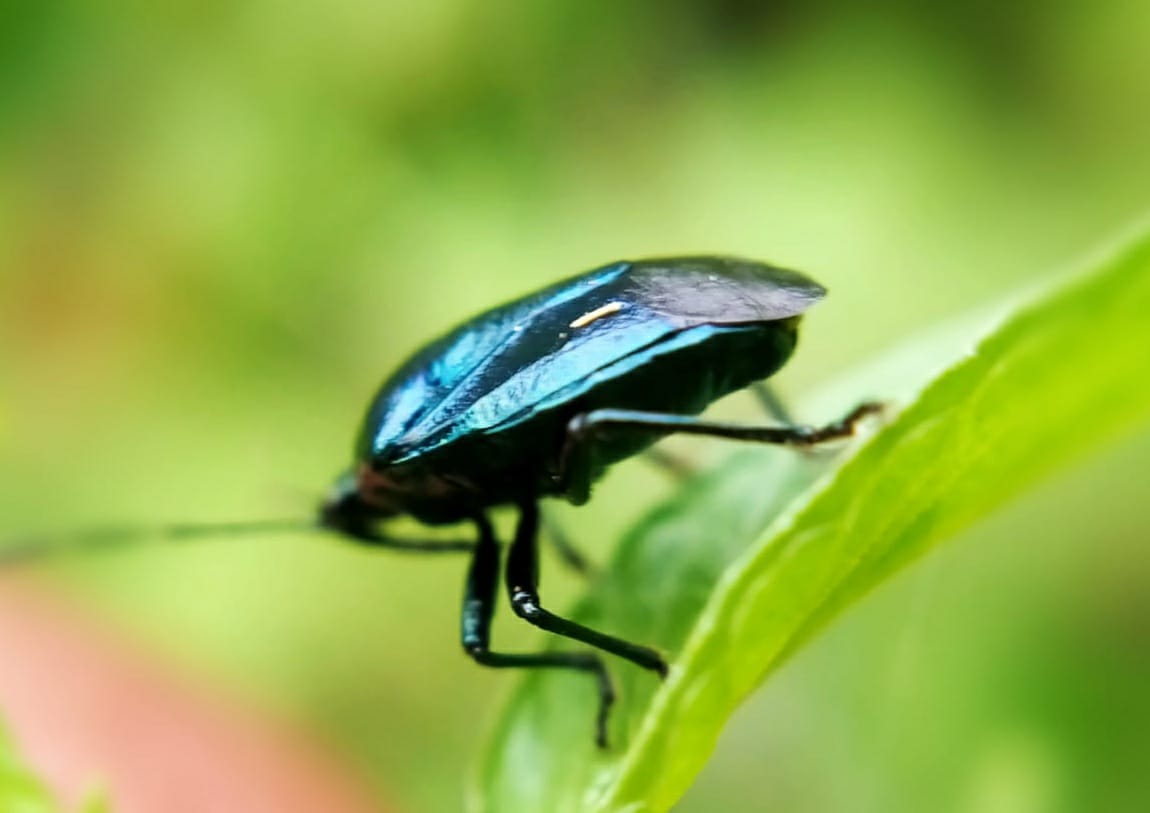 WhatsApp Image 2021-02-01 at 22.52.20 (2).jpeg