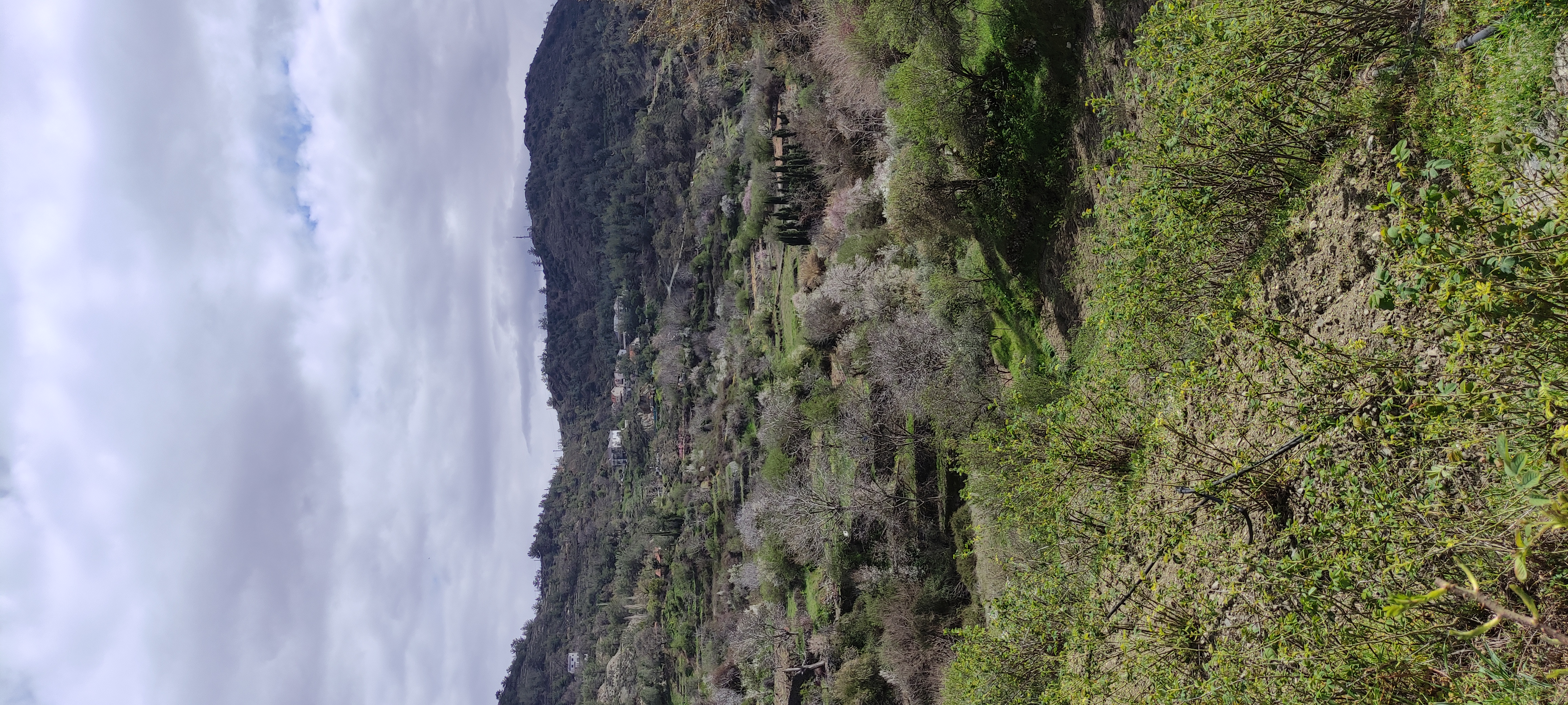 IMG_20250320_133051.jpg