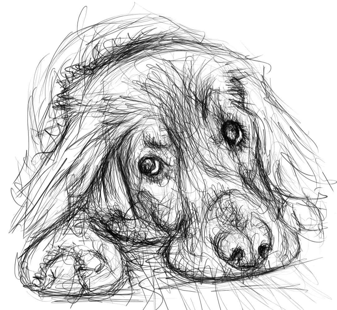 Screenshot_20230222-120431_Autodesk SketchBook.jpg