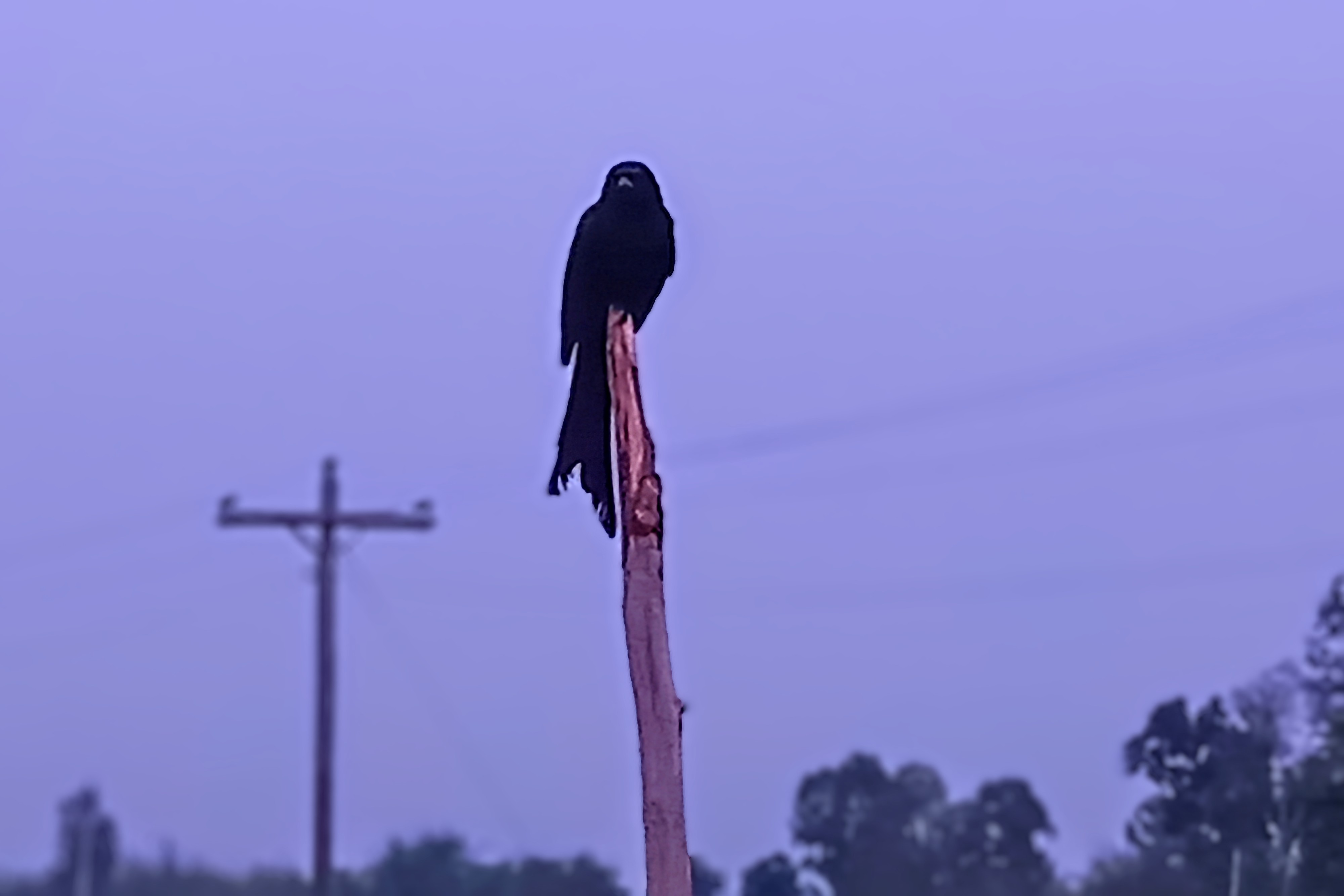 20250415_183441~3.jpg