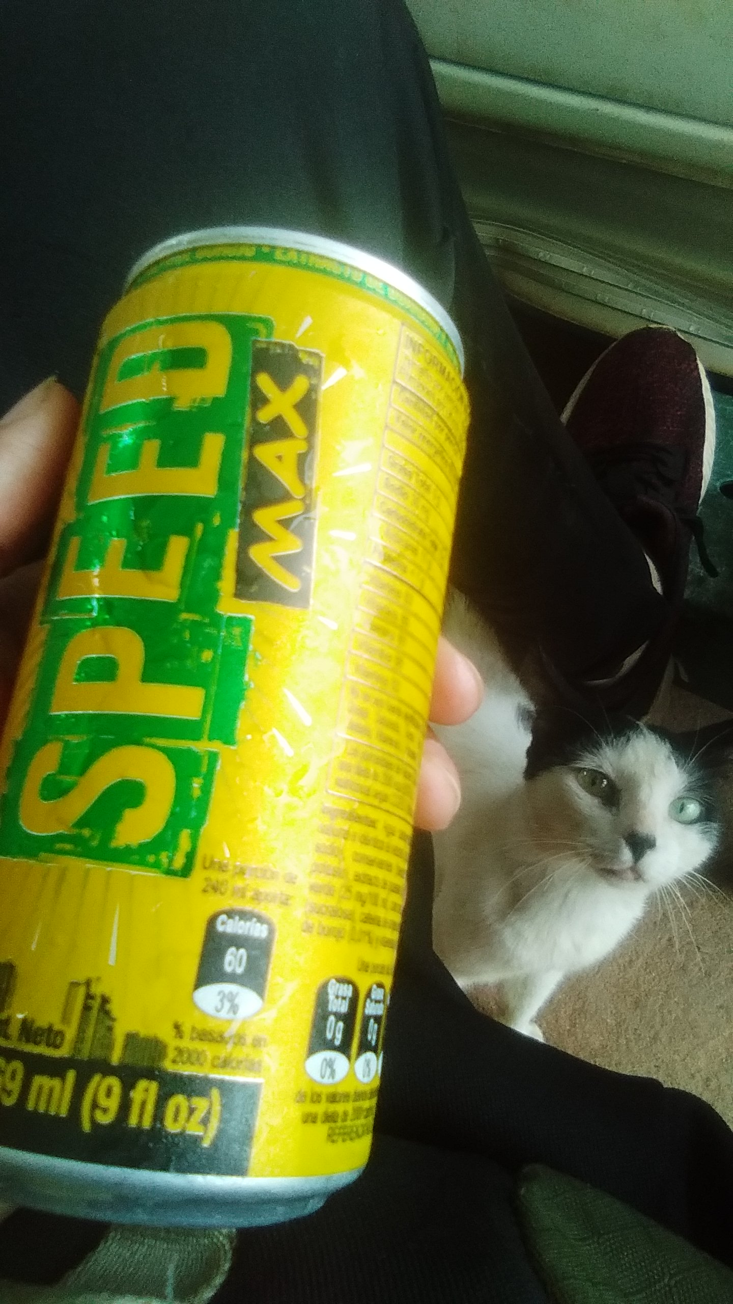 IMG-20220901-WA0053.jpeg