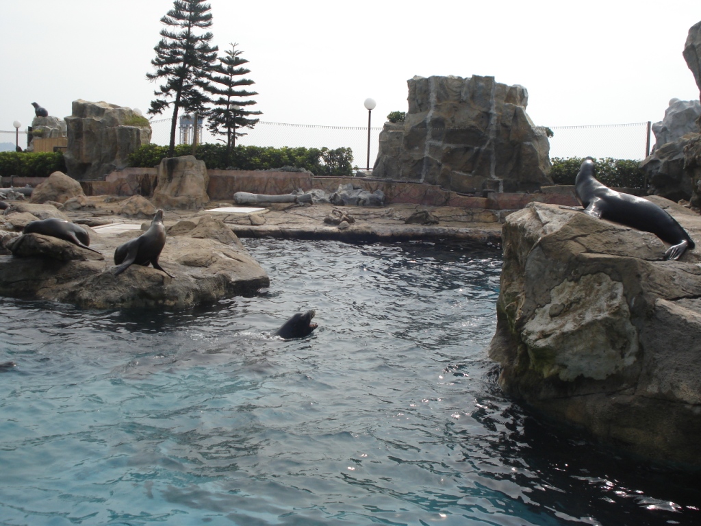DSC04688.JPG
