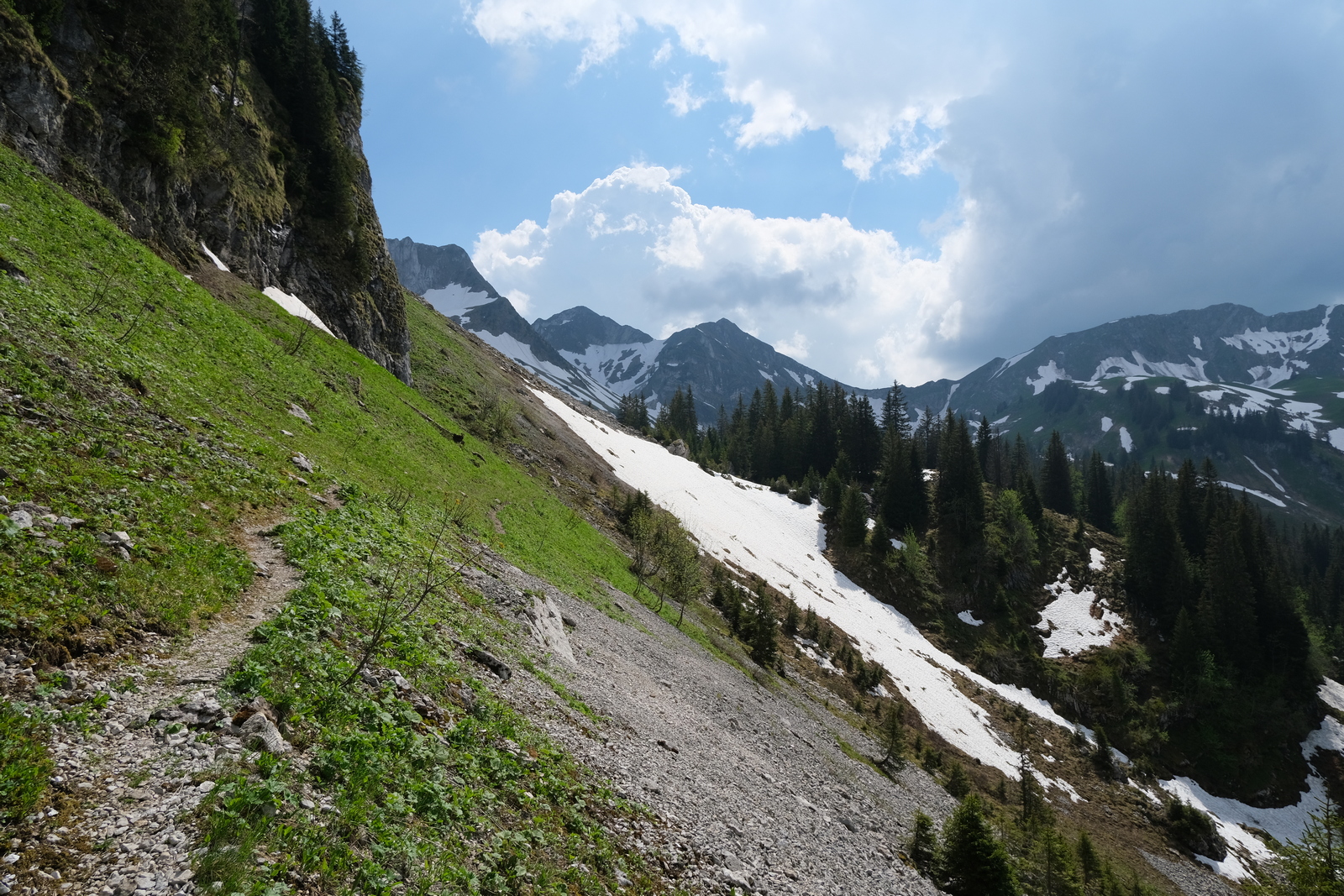  "Hike 2021-06-11 'Breccaschlund-Panoramaweg' (267) - 00019 - 1600W.jpg"