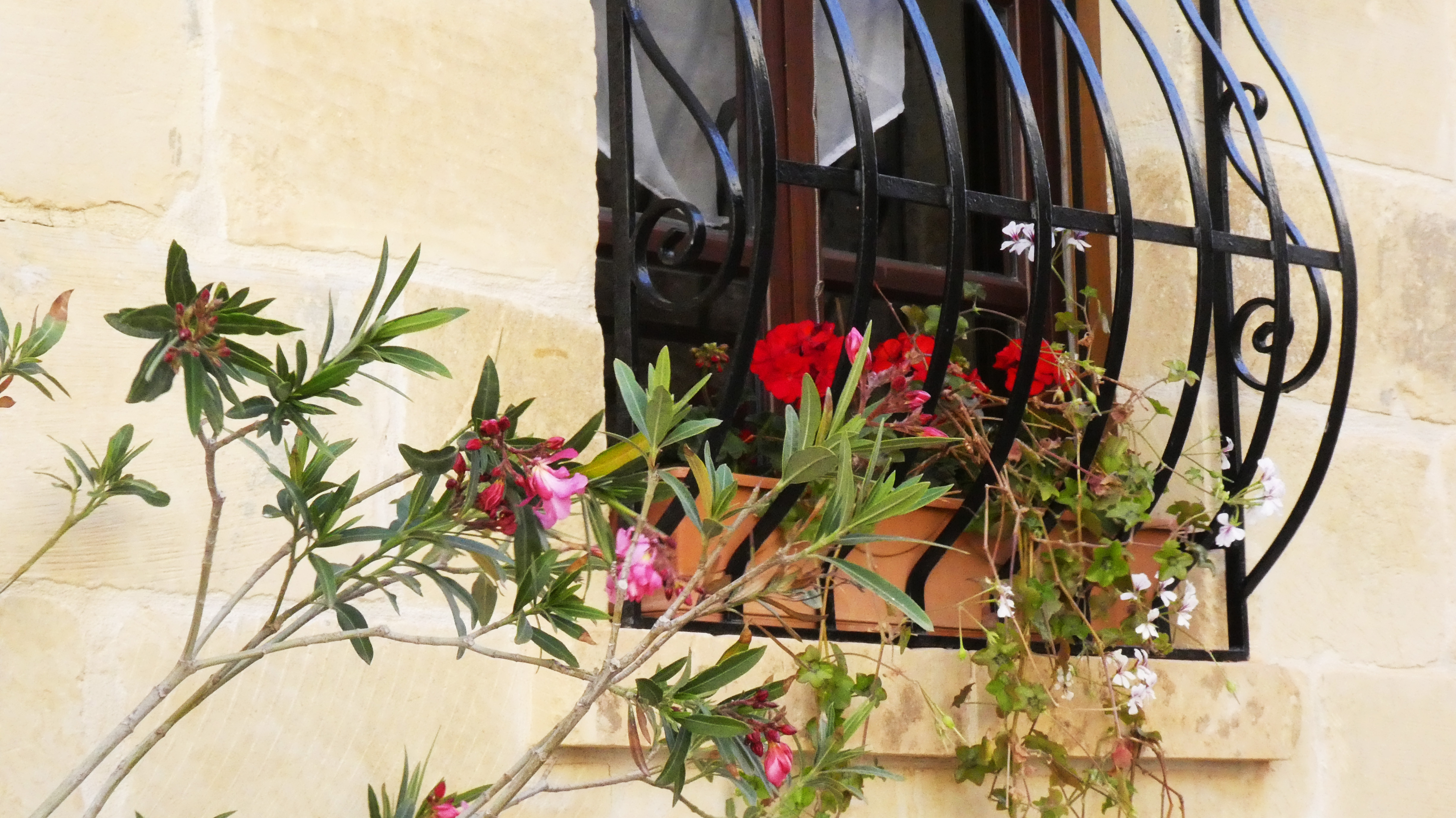 Window Box with bars.jpg