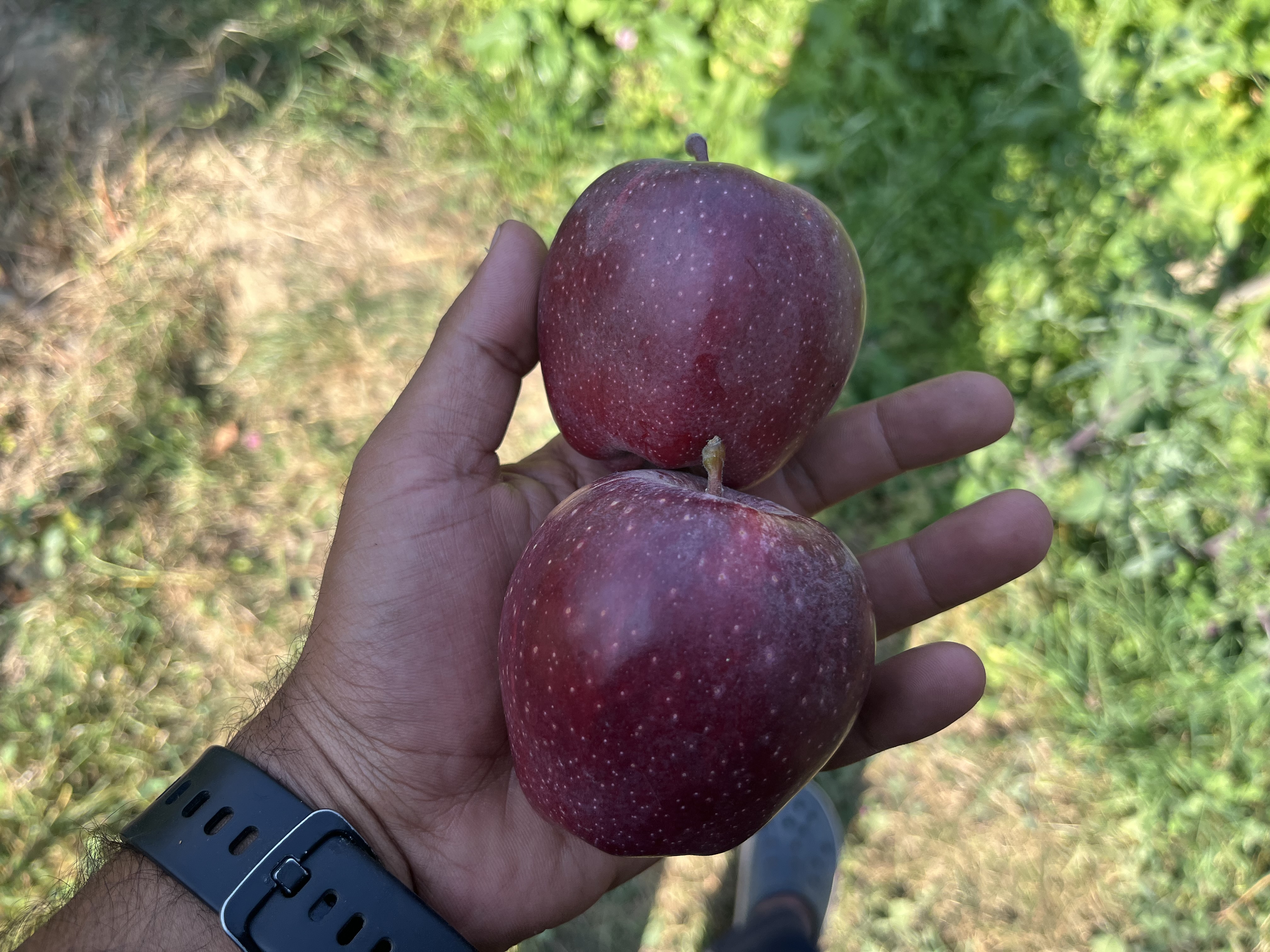 IMG_0816.jpeg