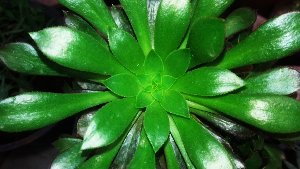 CYMERA_20201120_124520.jpg