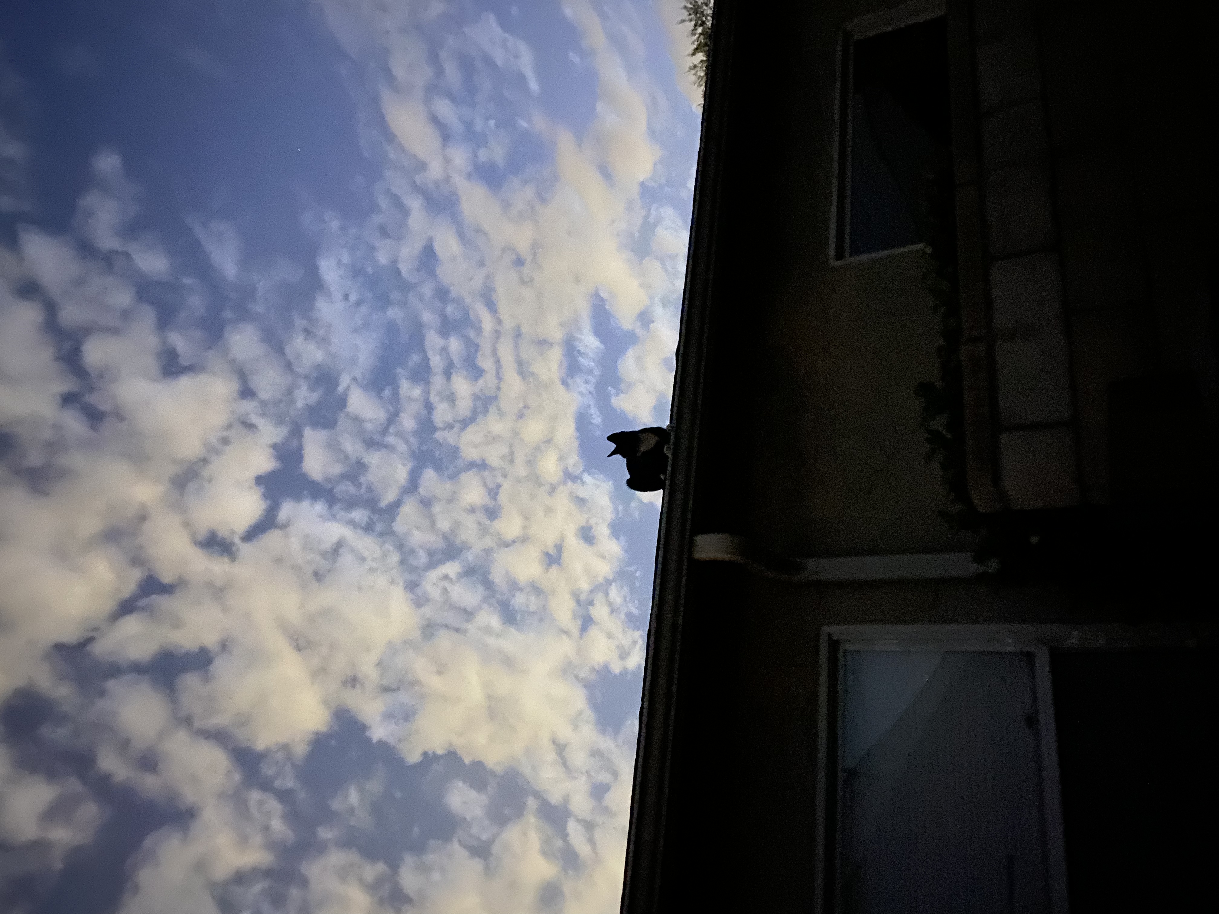 F78D8A1D-88E5-4EA3-A259-4C3C0CA64CC7.jpeg