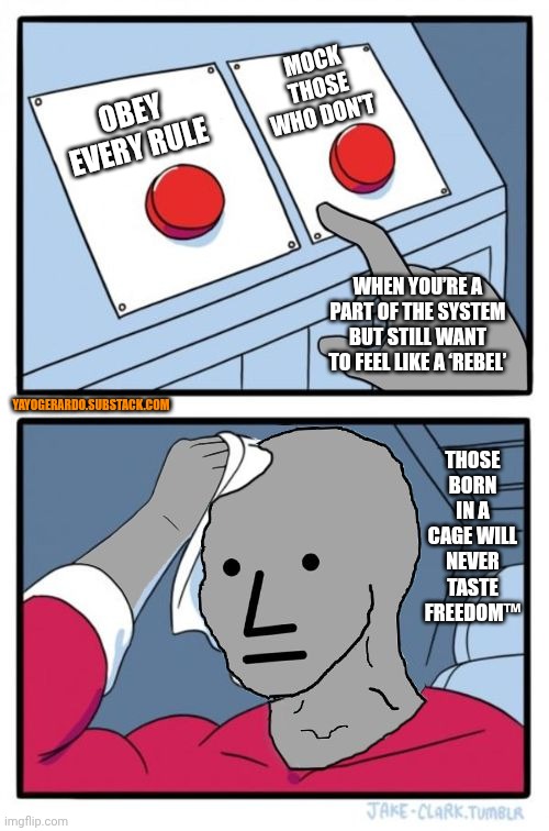 1000026698.jpg