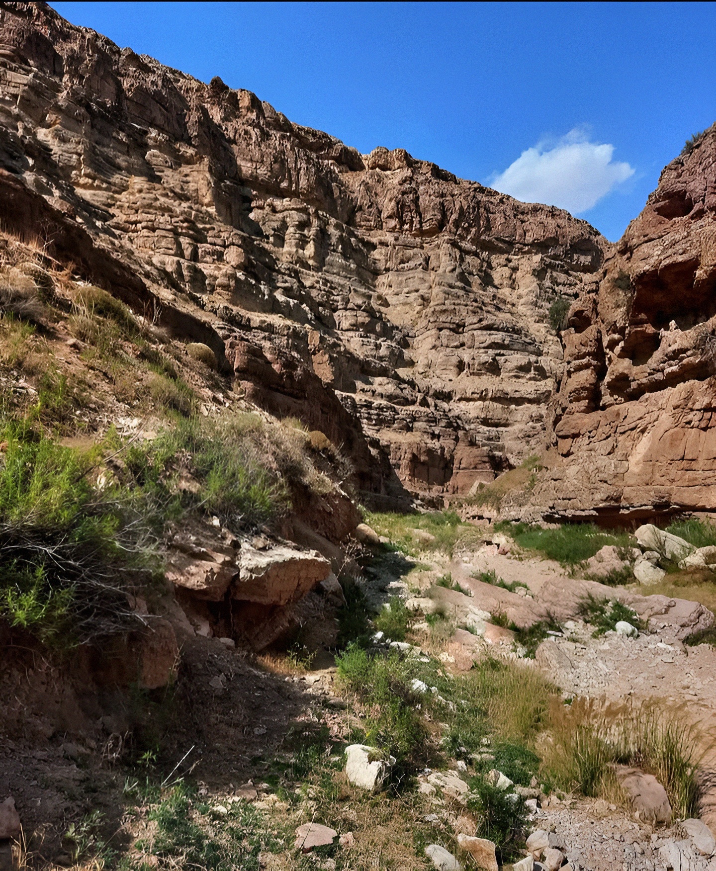 1755083097780_ehdug7_2_0.jpg