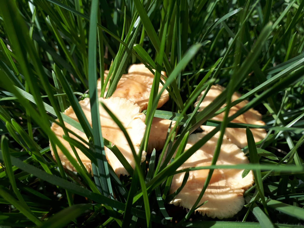 20220912_112411.jpg