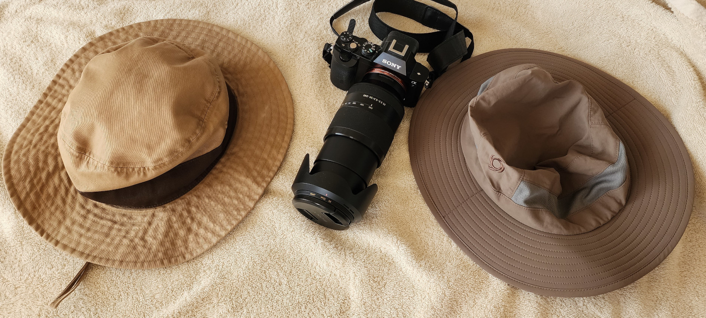 safari-002.jpg