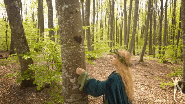 gif heart forest (3).gif