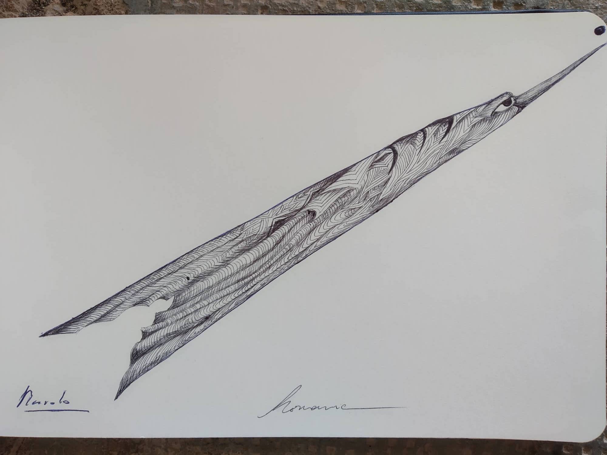dibujo326B.jpg