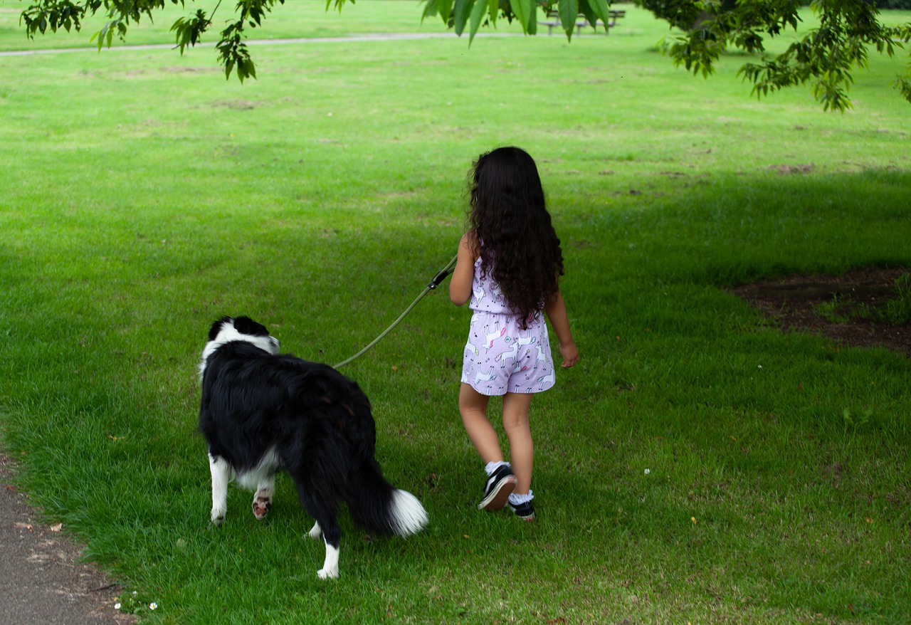 child-with-dog-4297147_1280.jpg