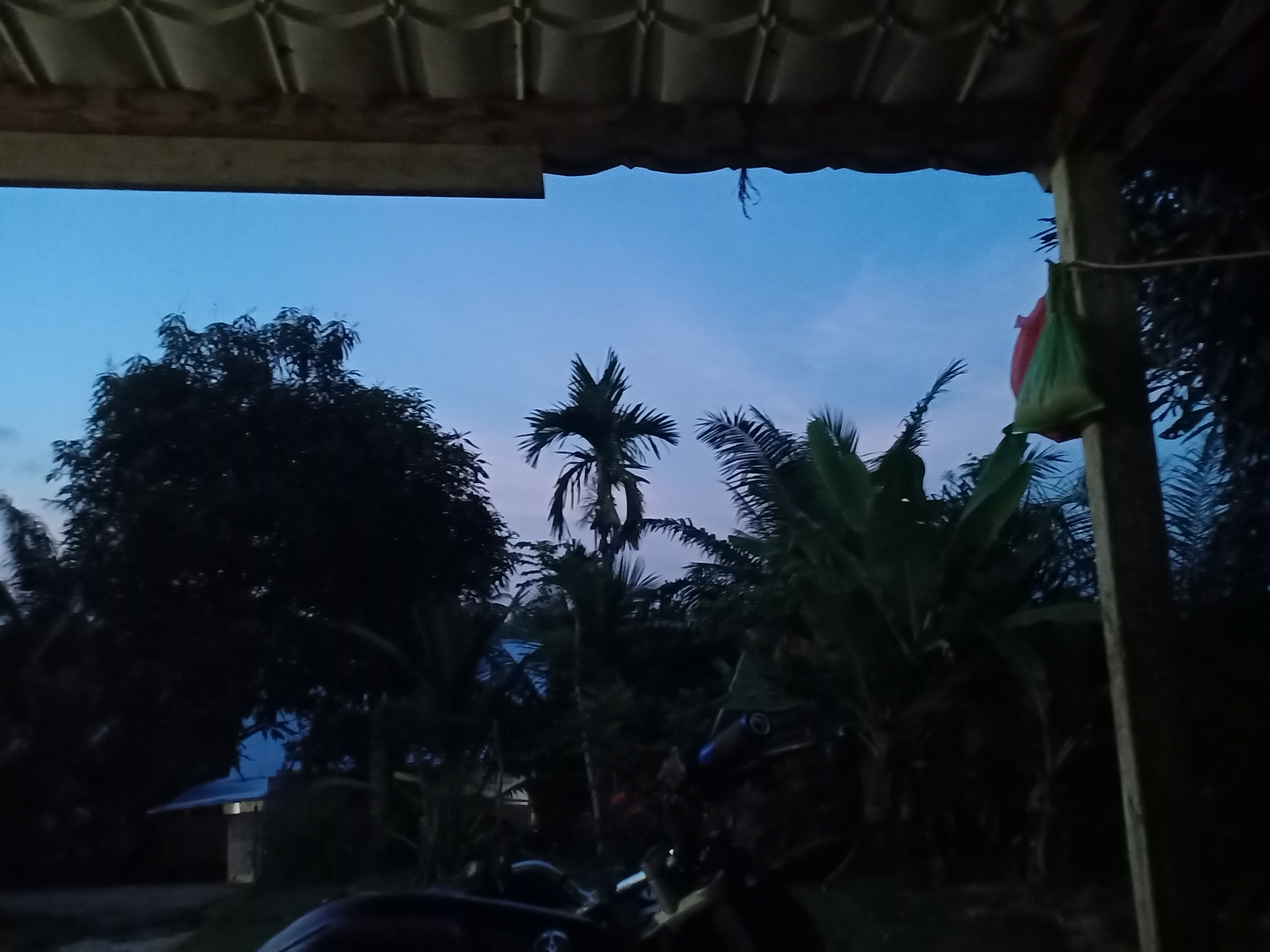 IMG20250301190118.jpg