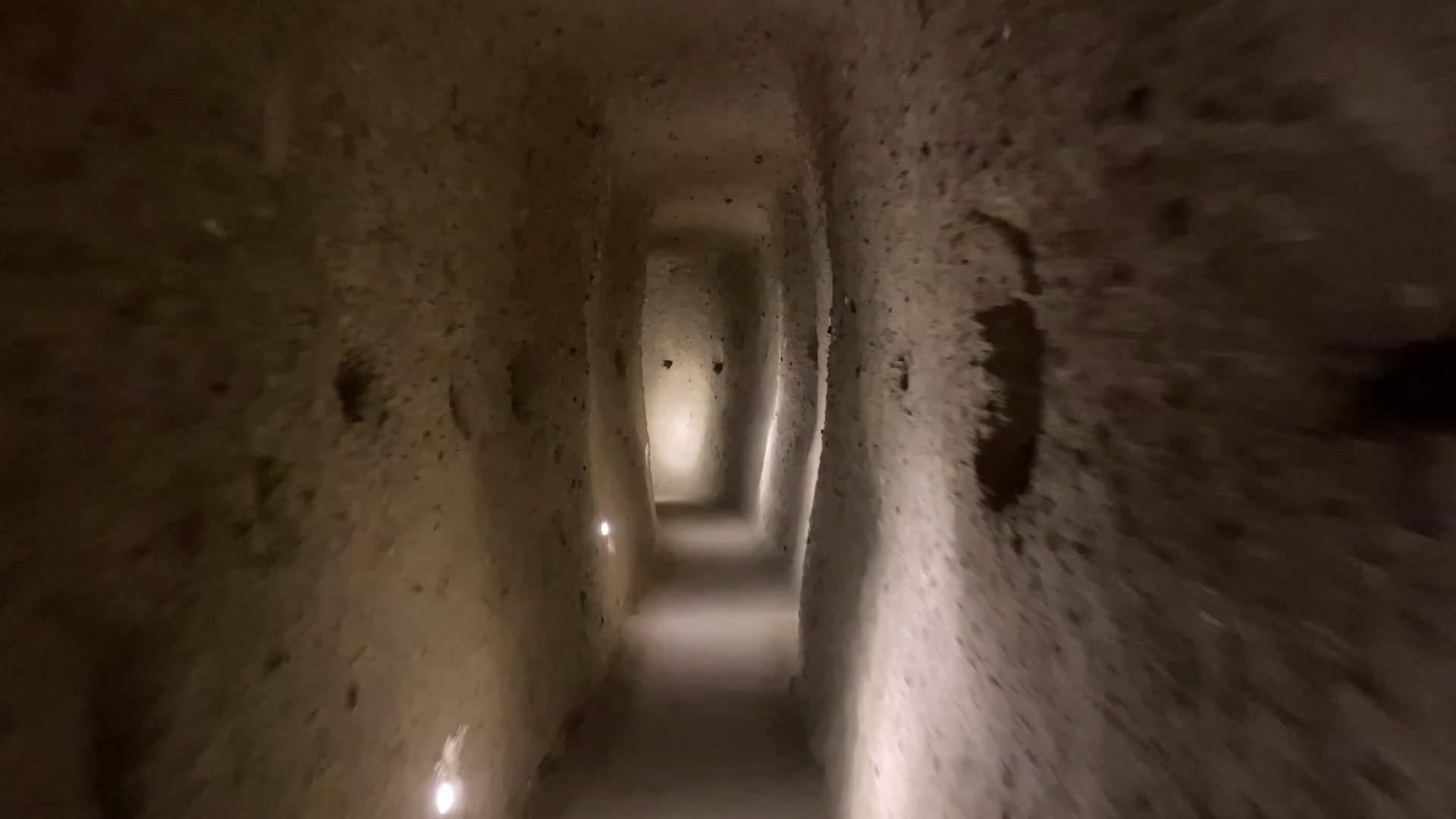 337.jpg