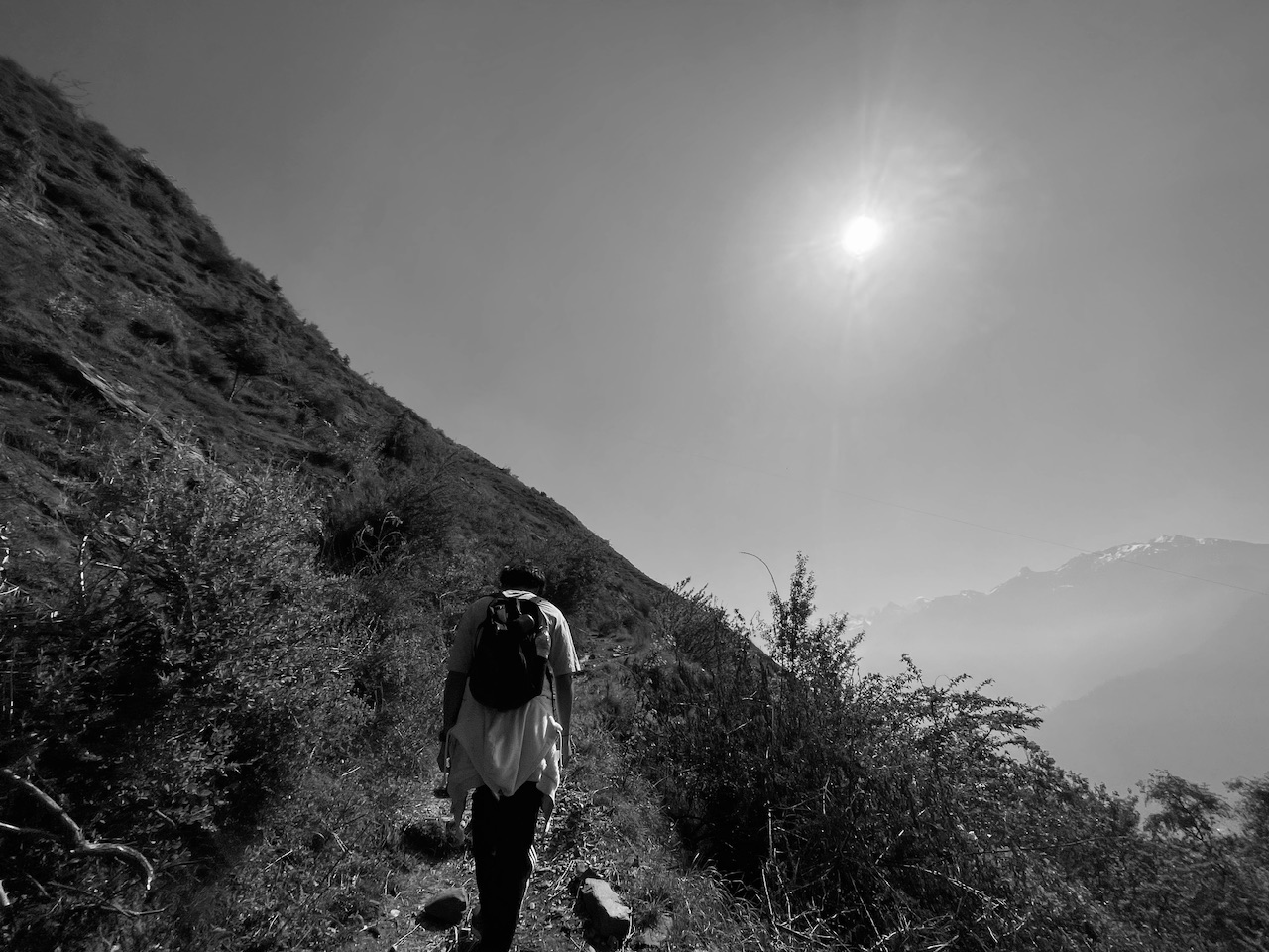 IMG_3740.jpeg