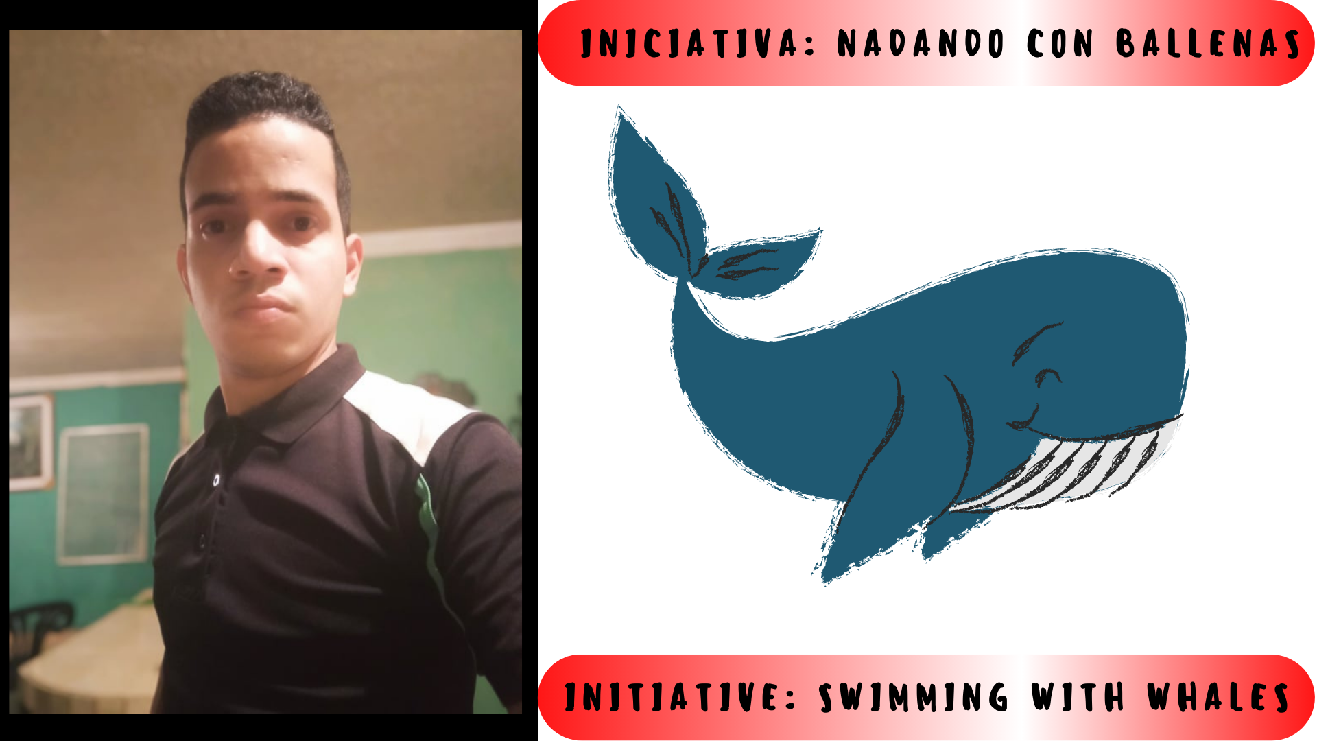 Iniciativa Nadando con ballenas.png