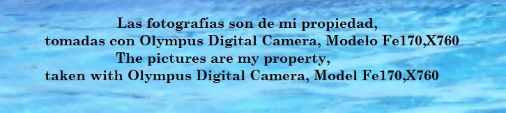 Datos camara.jpg