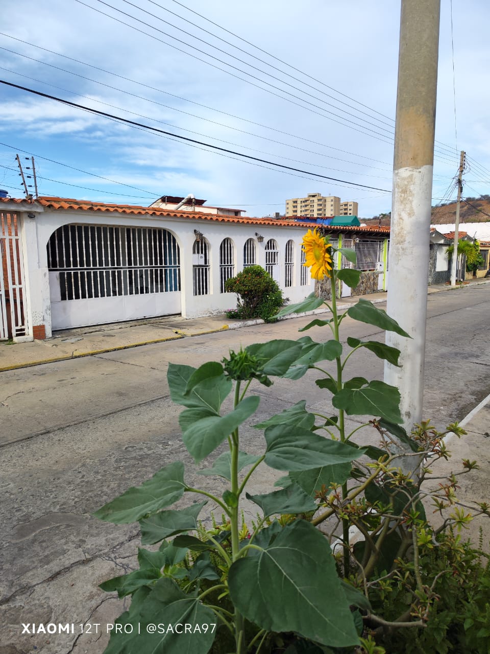Sin título-3.jpg