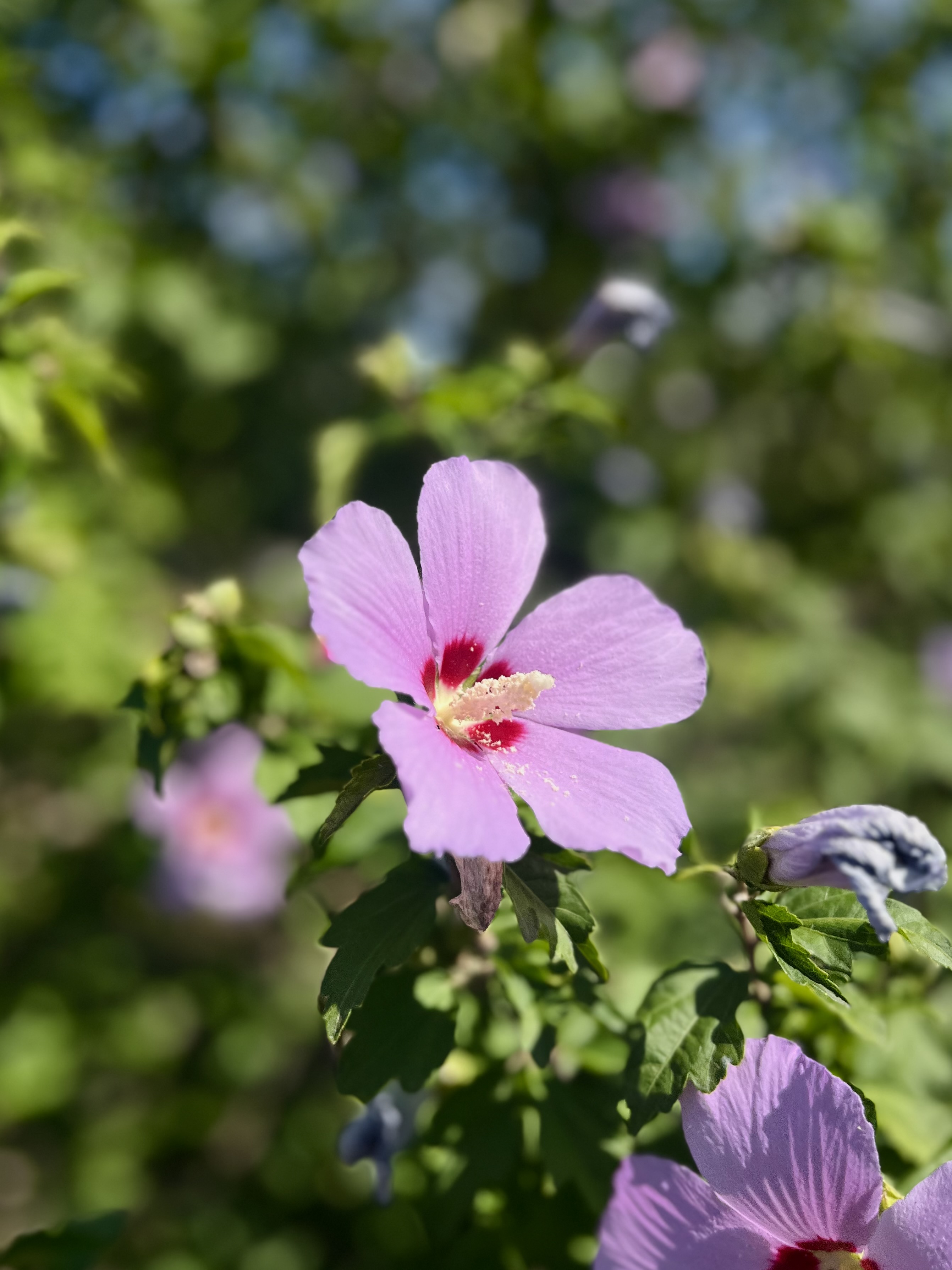 IMG_5430.jpeg