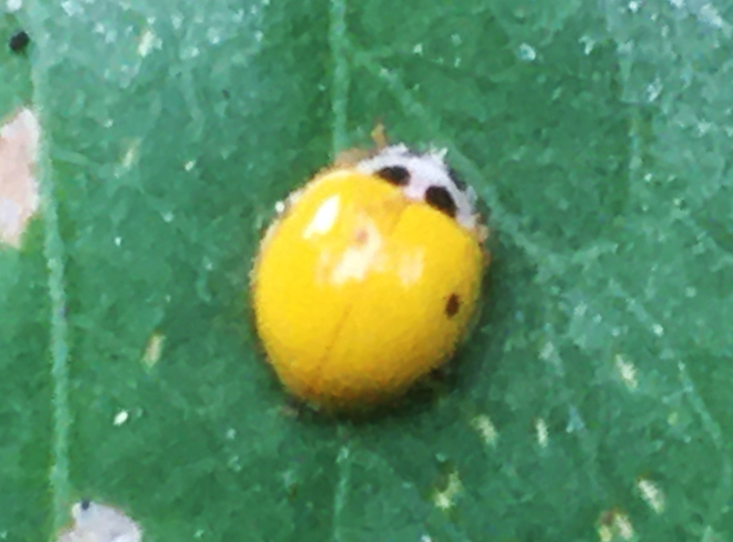 IMG_9358s.png