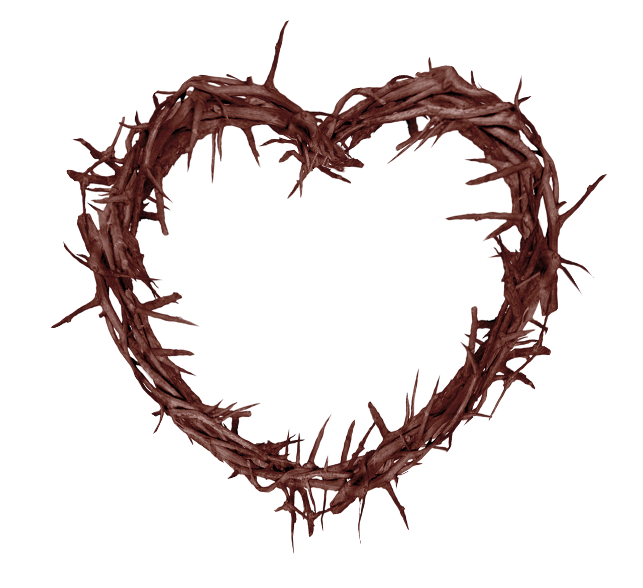 thorn-6984705_1280.png