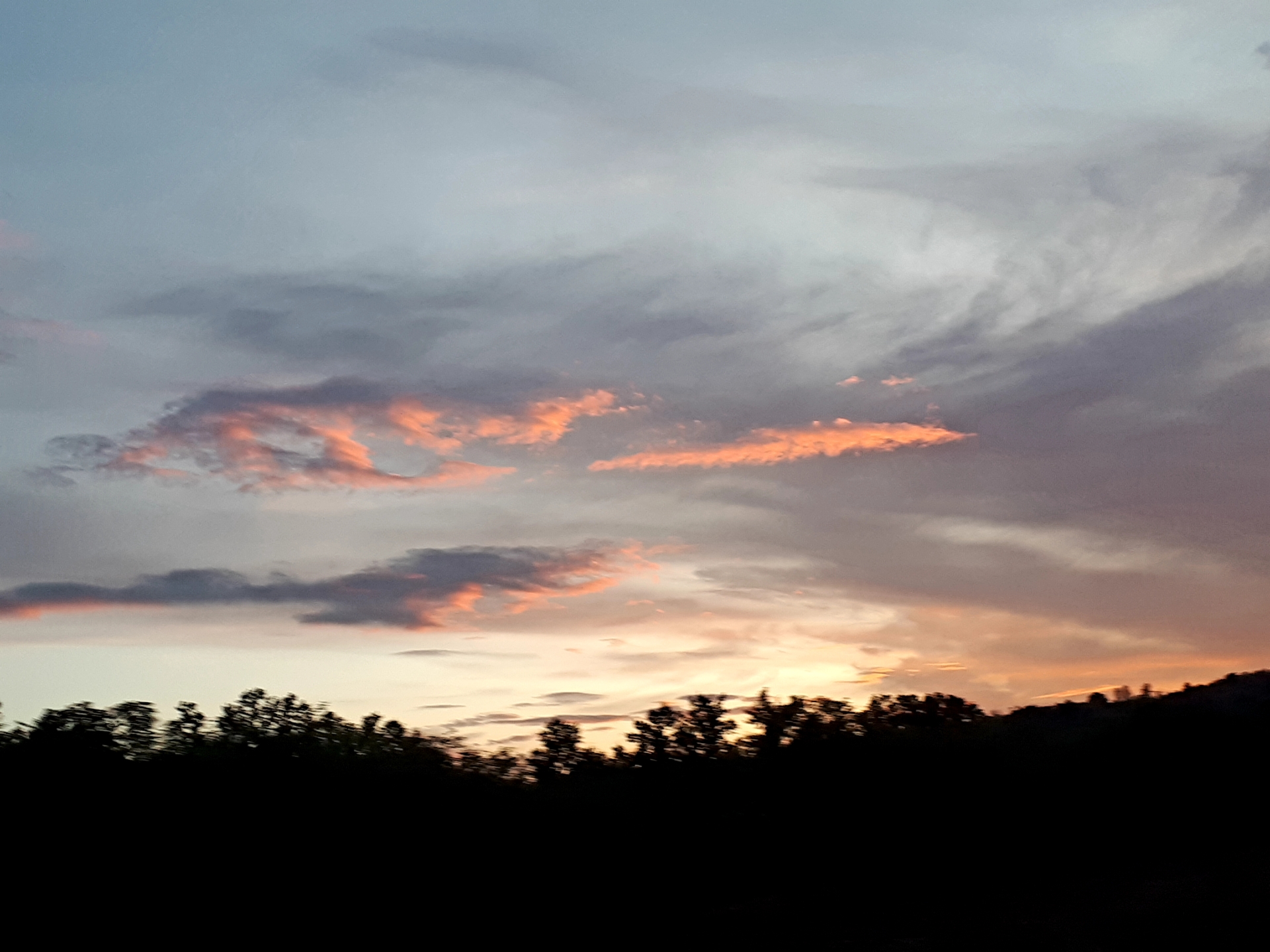 20240920_183745.jpg