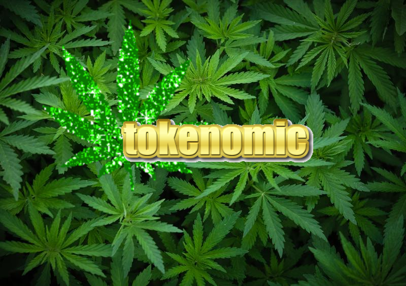 background-young-shoots-marijuana-growing-organic-cannabis-farm-wallpaper-hemp-legal-cultivation-158145829.jpg.png