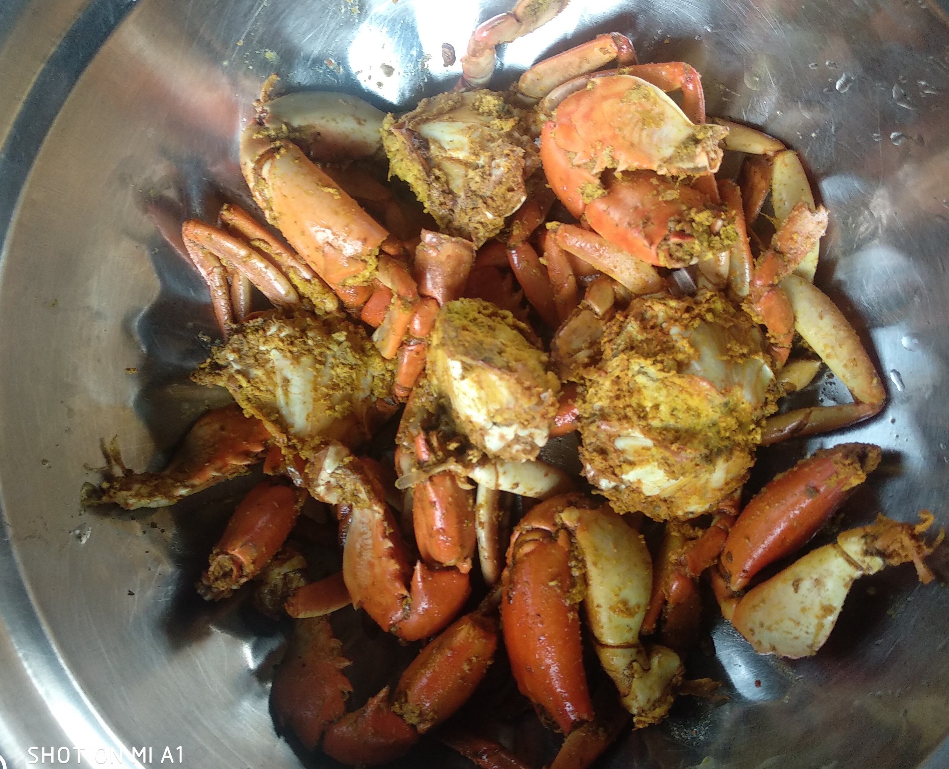 IMG_20210422_065241.jpg